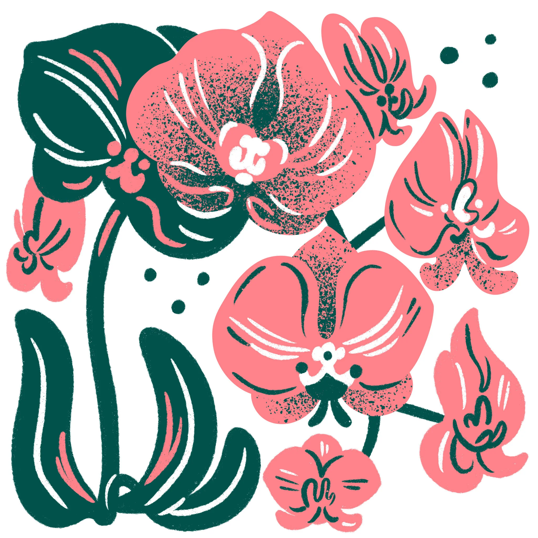 Orchid.jpg