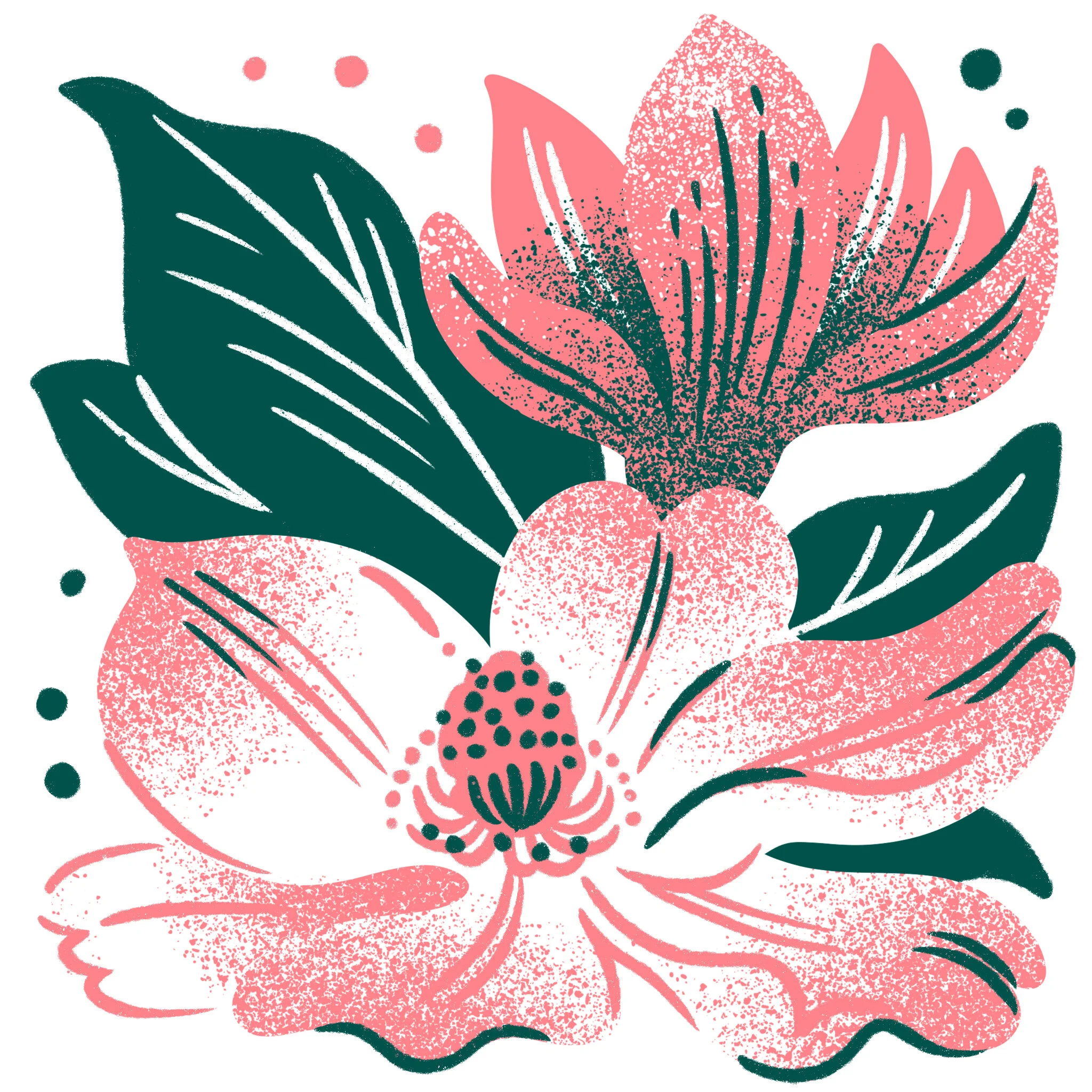 Magnolia.jpg