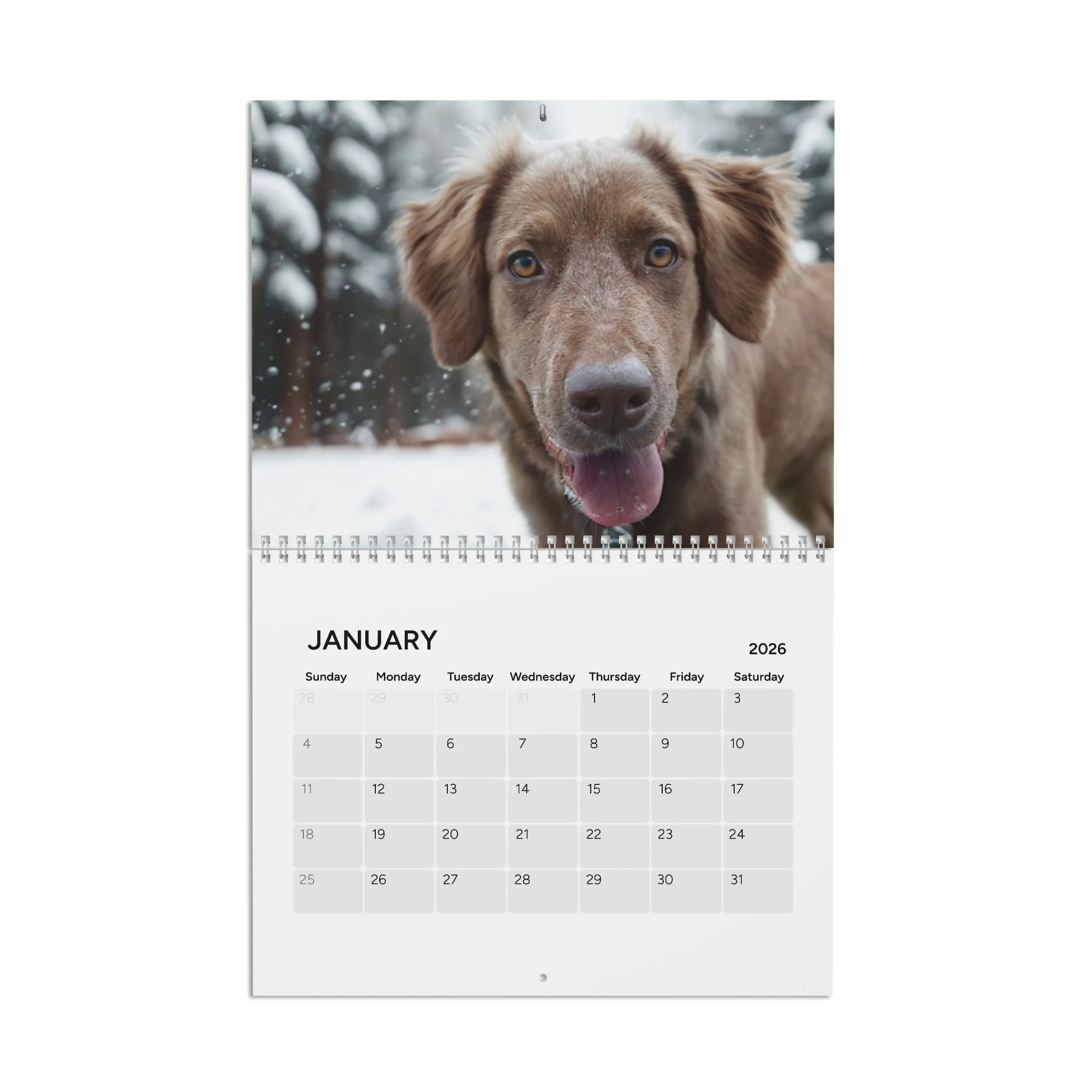 498bfe485f0c93b4f4f8ac81eca1c761