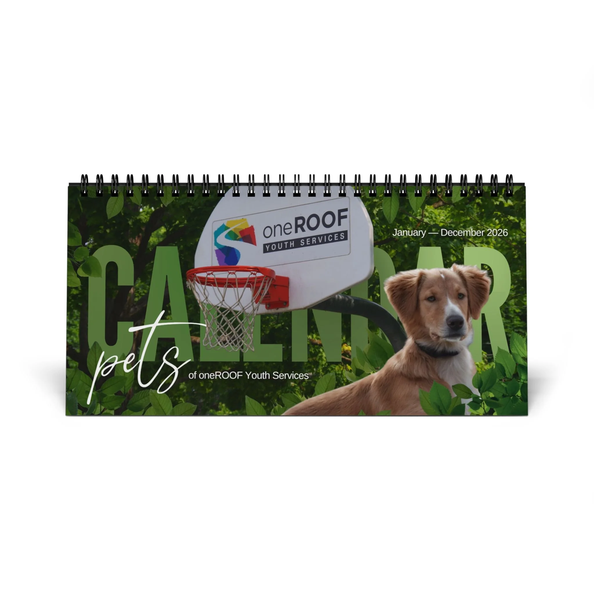 e1bf4c9ee75f3b222c2b96b33899453d