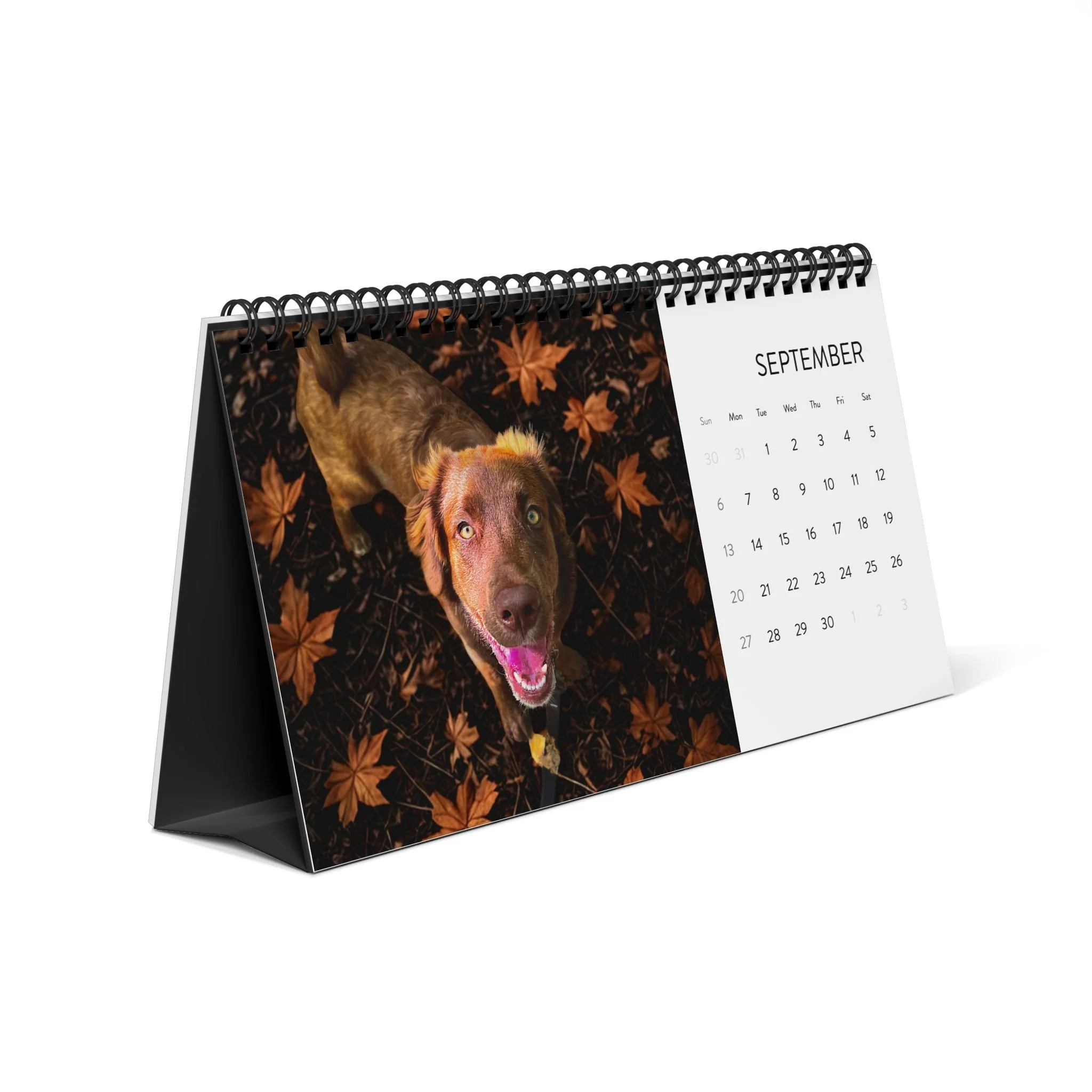 6bb583d9ed5efcfa6fd50d55791bfd86