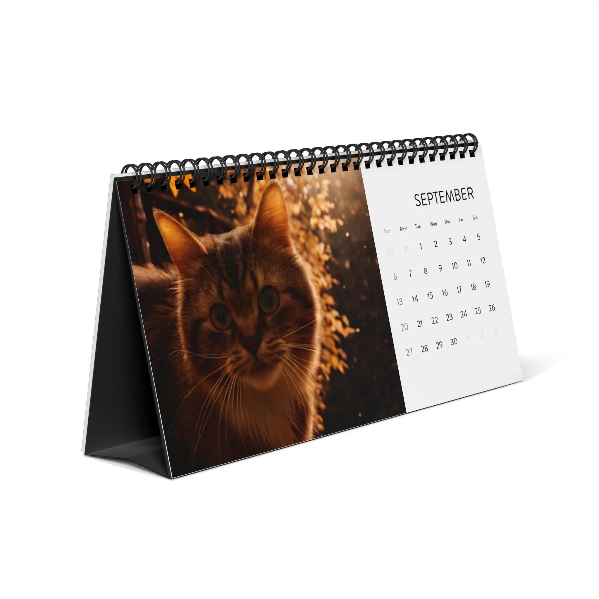 e676cc91b17d5ccfa1ff069b788d182d