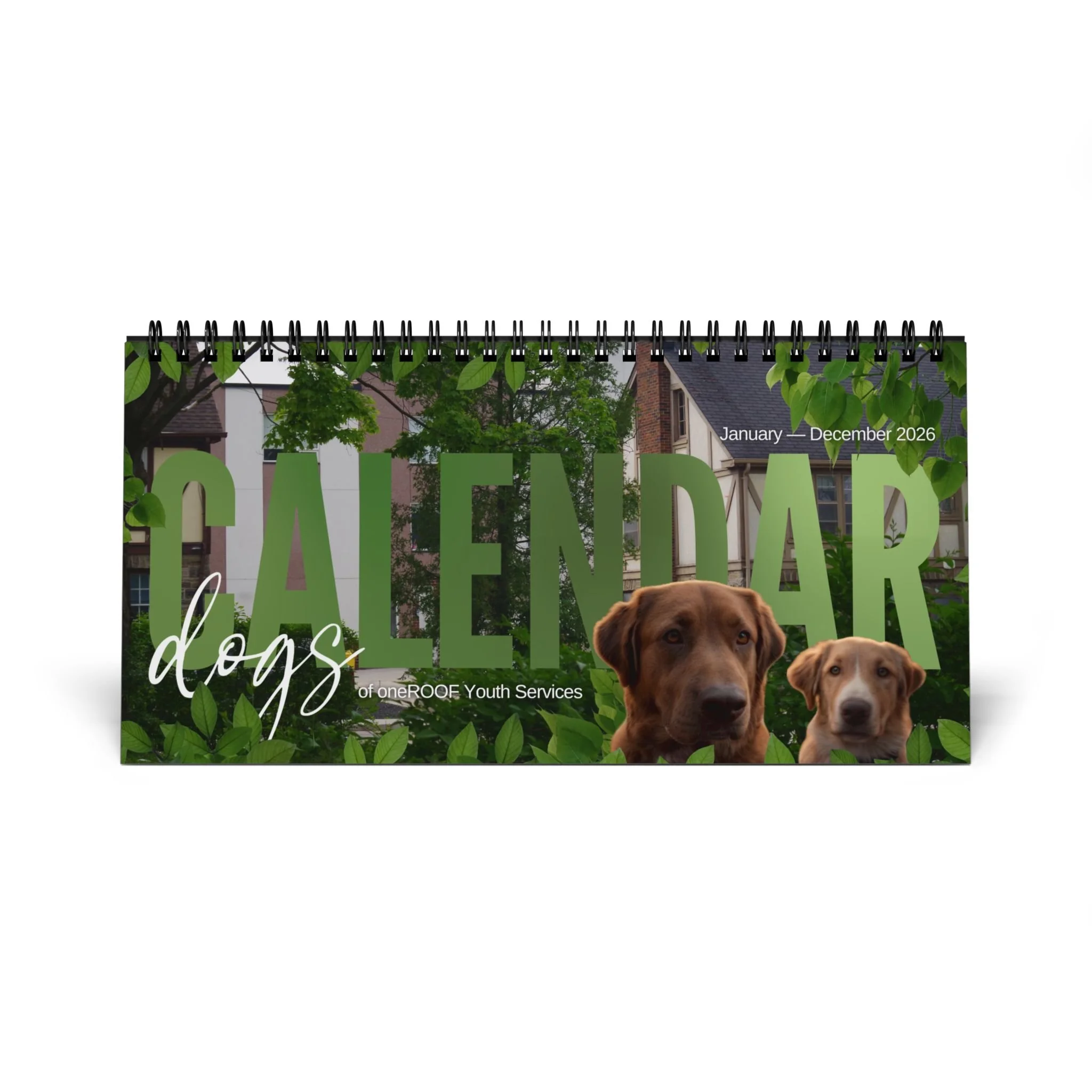 9ccc4885d3f304655efc943cce64e05f