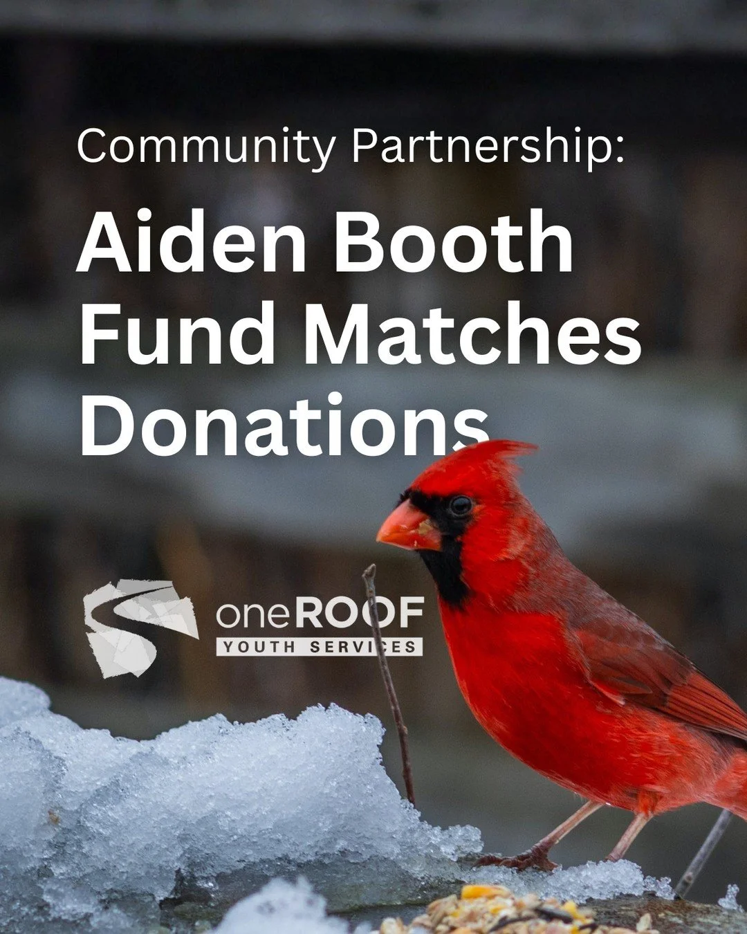 The Aiden Booth Memorial Fund is a non-profit that carries on the kindness and generosity of Aiden Booth. While this time of year brings joy, gratitude, and opportunities for reconnection to many, they know that others suffer loneliness and a deterio