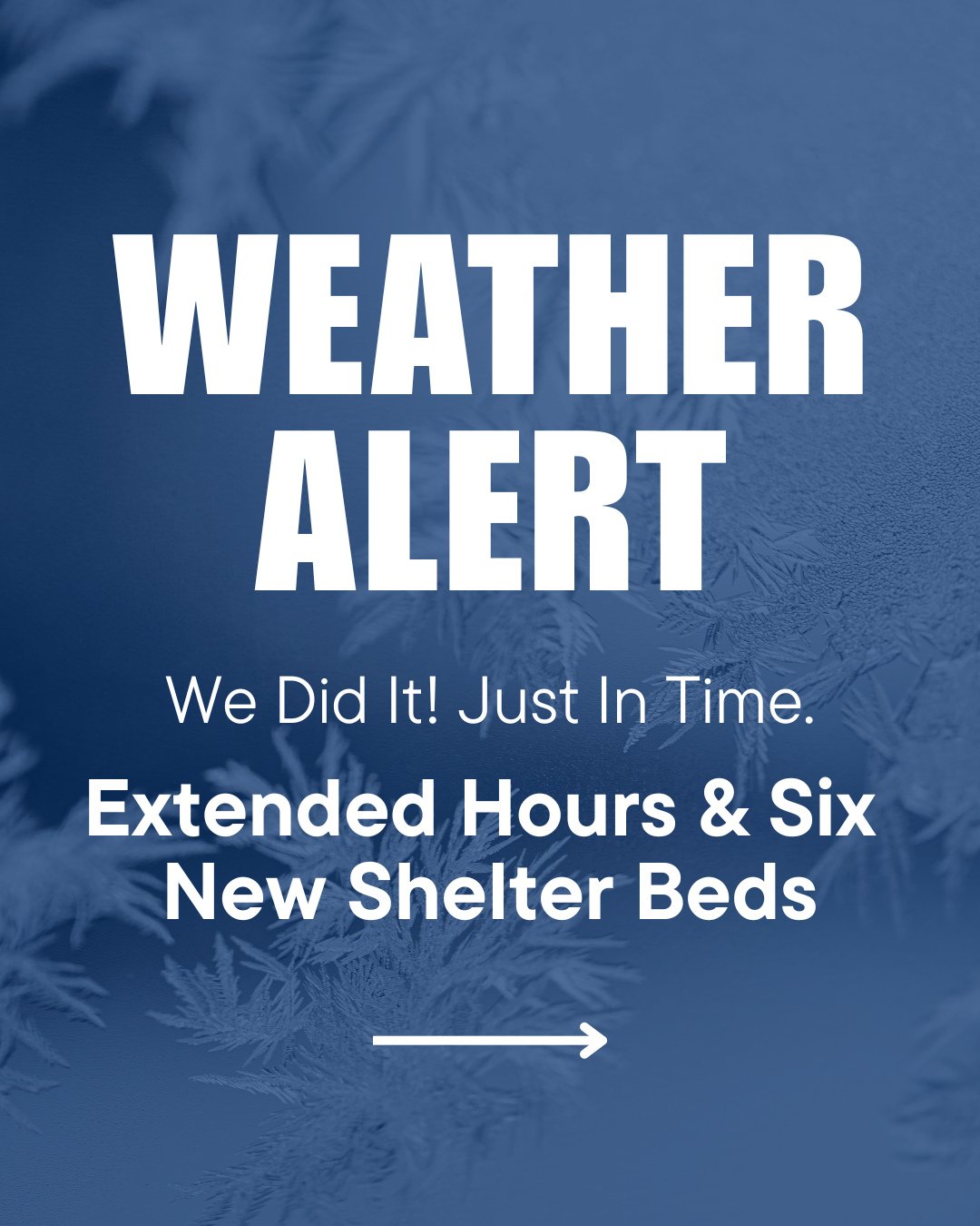 With over 30cm of snow fallen and more on the way, we're feeling grateful for the wave of generosity we were shown over the holidays! ⁠
⁠
We asked our community to help us raise $40,000, promising our Secret Santa would match it. You answered &mdash;