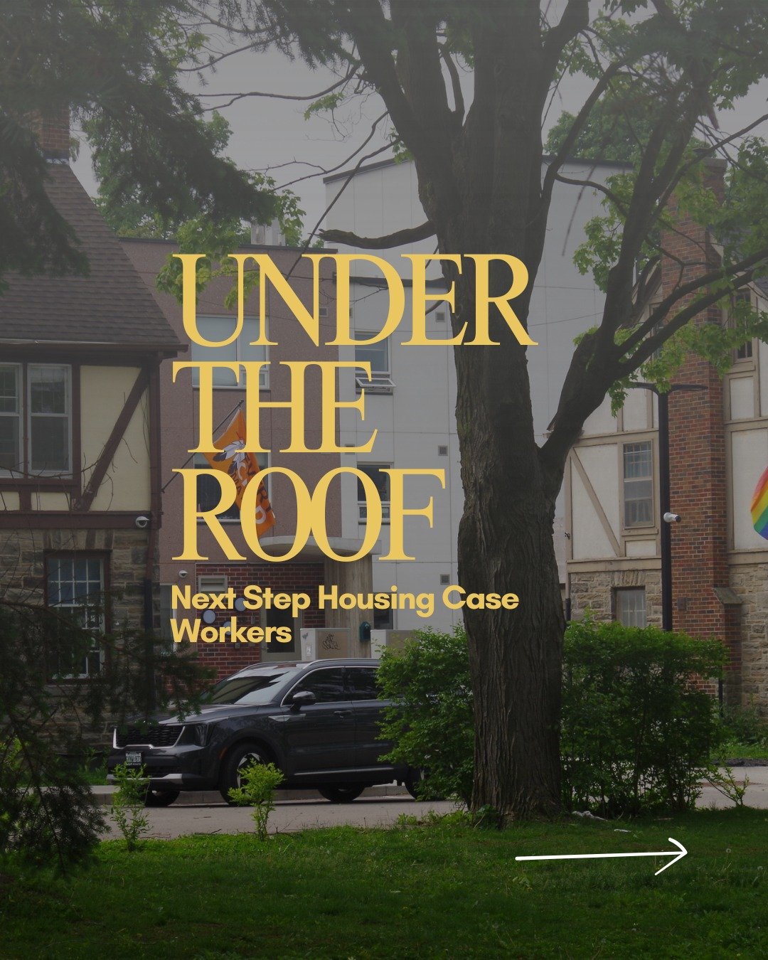 &ldquo;So&hellip; what do you really do?&rdquo;

Meet our Next Steps Housing: Case Workers!

 #newseries  #oneroof  #YouthSupport