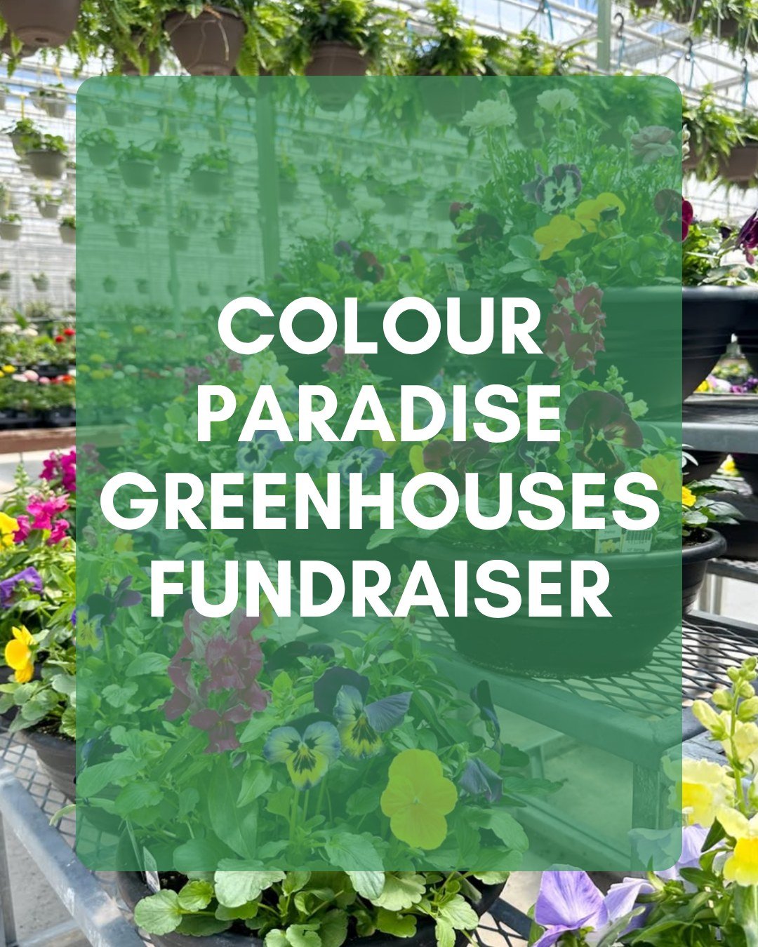 🎉 Join us on June 13th for a fun-filled day at @colourparadisegreenhouses  in support of oneROOF Youth Services! 💙

Bring your whole family and enjoy a mad science show, raffle prizes, a free bouncy castle, face painting, and more!

The best part? 