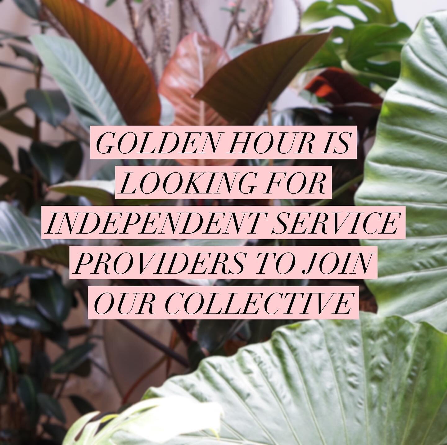 ✨We would love to welcome additional service providers to our beautiful space! We have opportunities for both full and part-time renters. If interested, please email or DM us! 
.
.
.
#hair #hairstylist #chicago #chicagohairstylist #chicagohair #golde