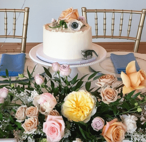 Ali Bakes Cakes - Custom cakes & cupcakes