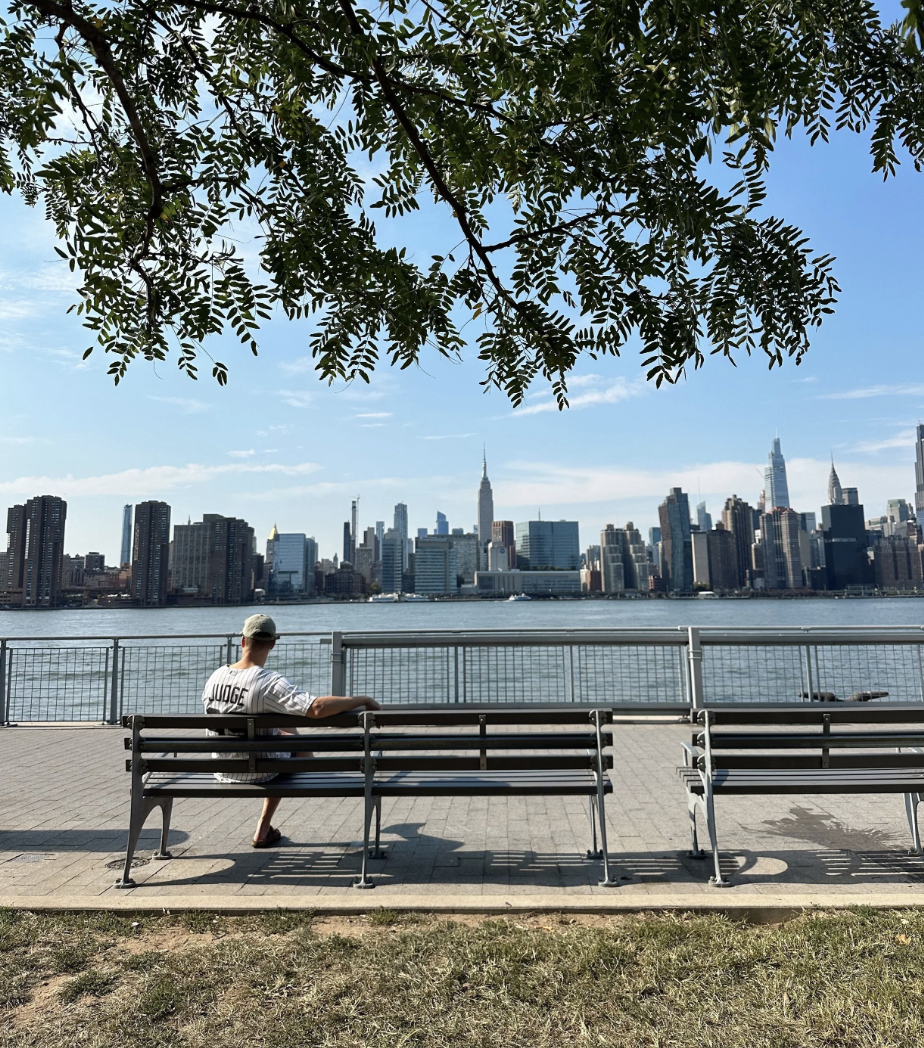 The Park Bench Effect in NYC