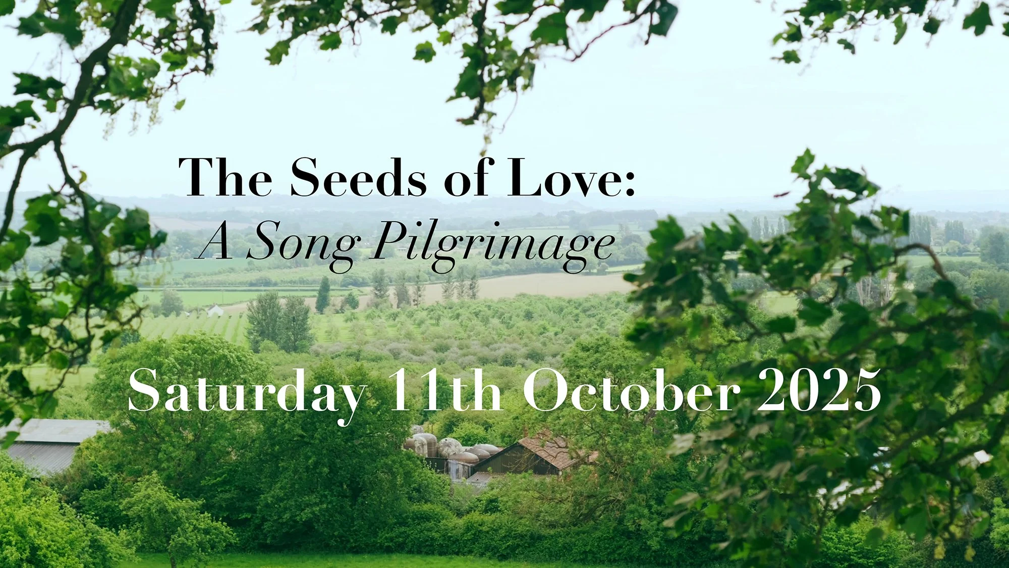 The Seeds of Love: A Song Pilgrimage