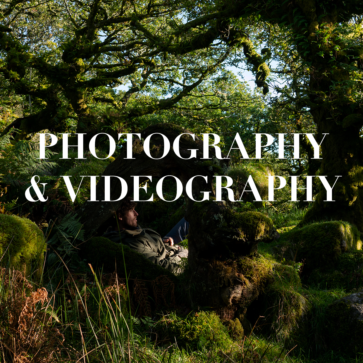 photo video gallery.png