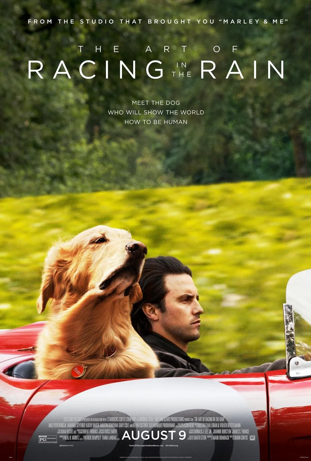 The Art of Racing in the Rain (Movie Review)