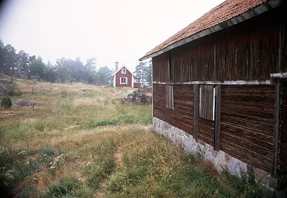 Ladugården1969AlfNordströman16362s.jpg