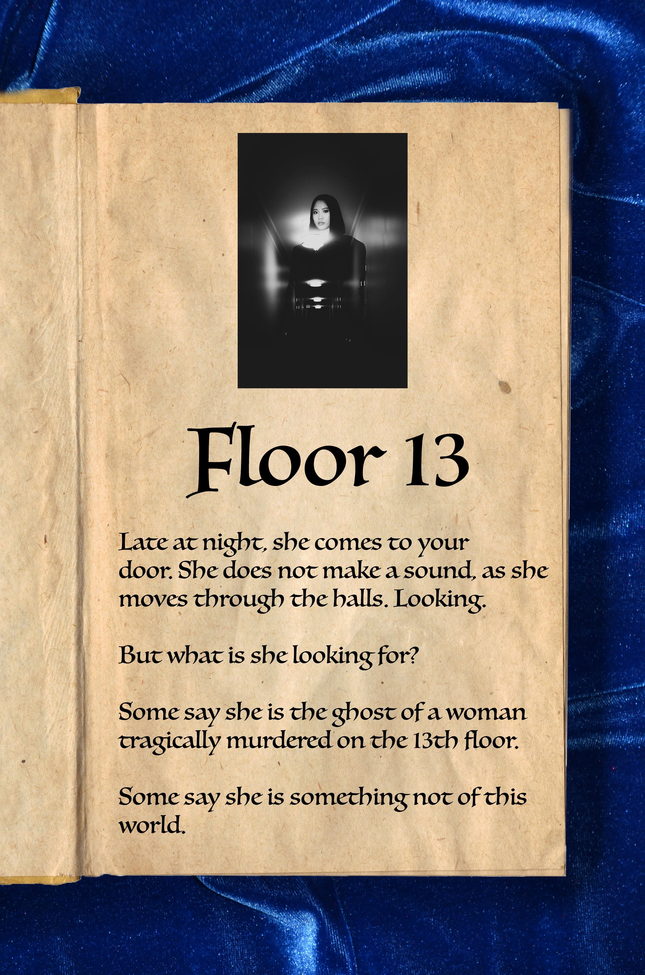 13thfloorStory.JPG