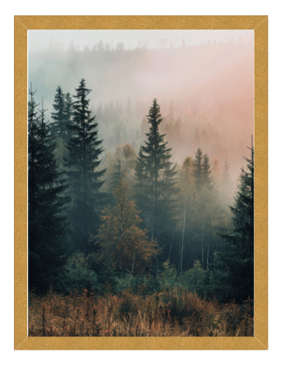 22x28 Classic Gold picture frame