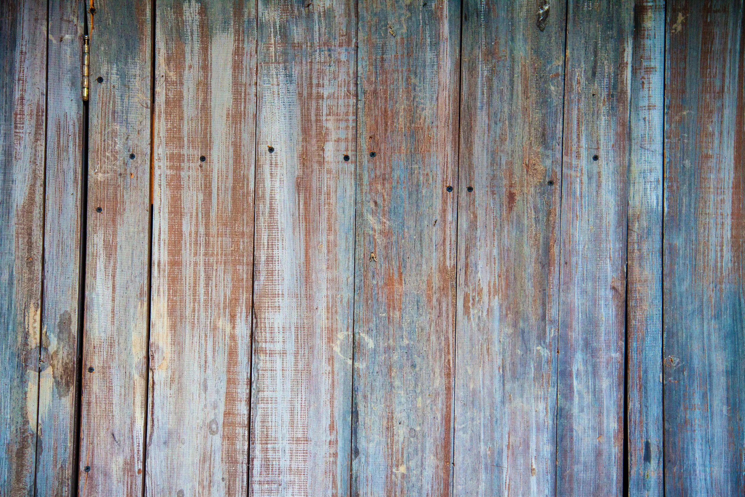 erika-lowe-UB1hcYVw07E-unsplash.jpg