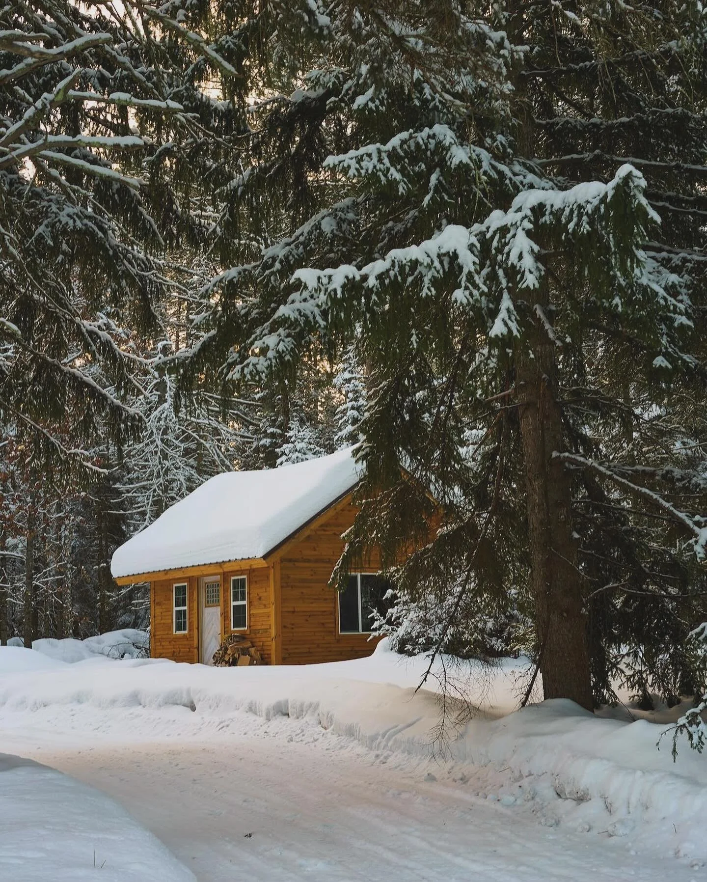 How I want my Friday plans to look

#bravura #bravuradesignco #winter #cabin #friday #fridayplans #tgif #snowycabin
