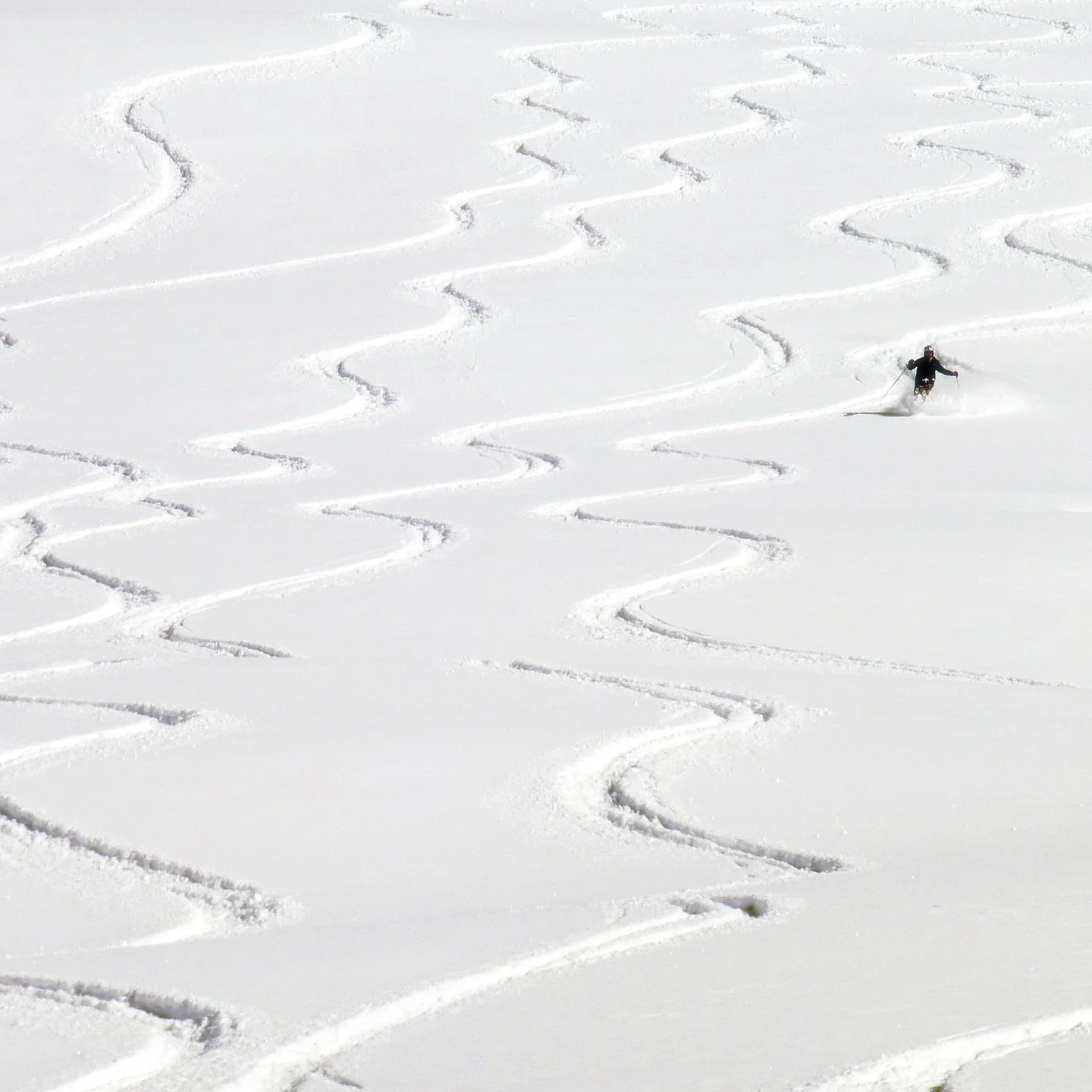 We are all designers, whether we know it or not

#bravura #bravuradesignco #design #designer #ski #skier