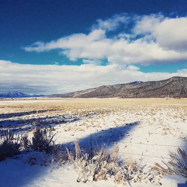Thank you to the healing waters, open skies and snowy bliss! We will be back soon #sierraville #hotsprings 
#minitour #bandontour #wintertour #snowymountains #snowangles #songs #firelight #cozy