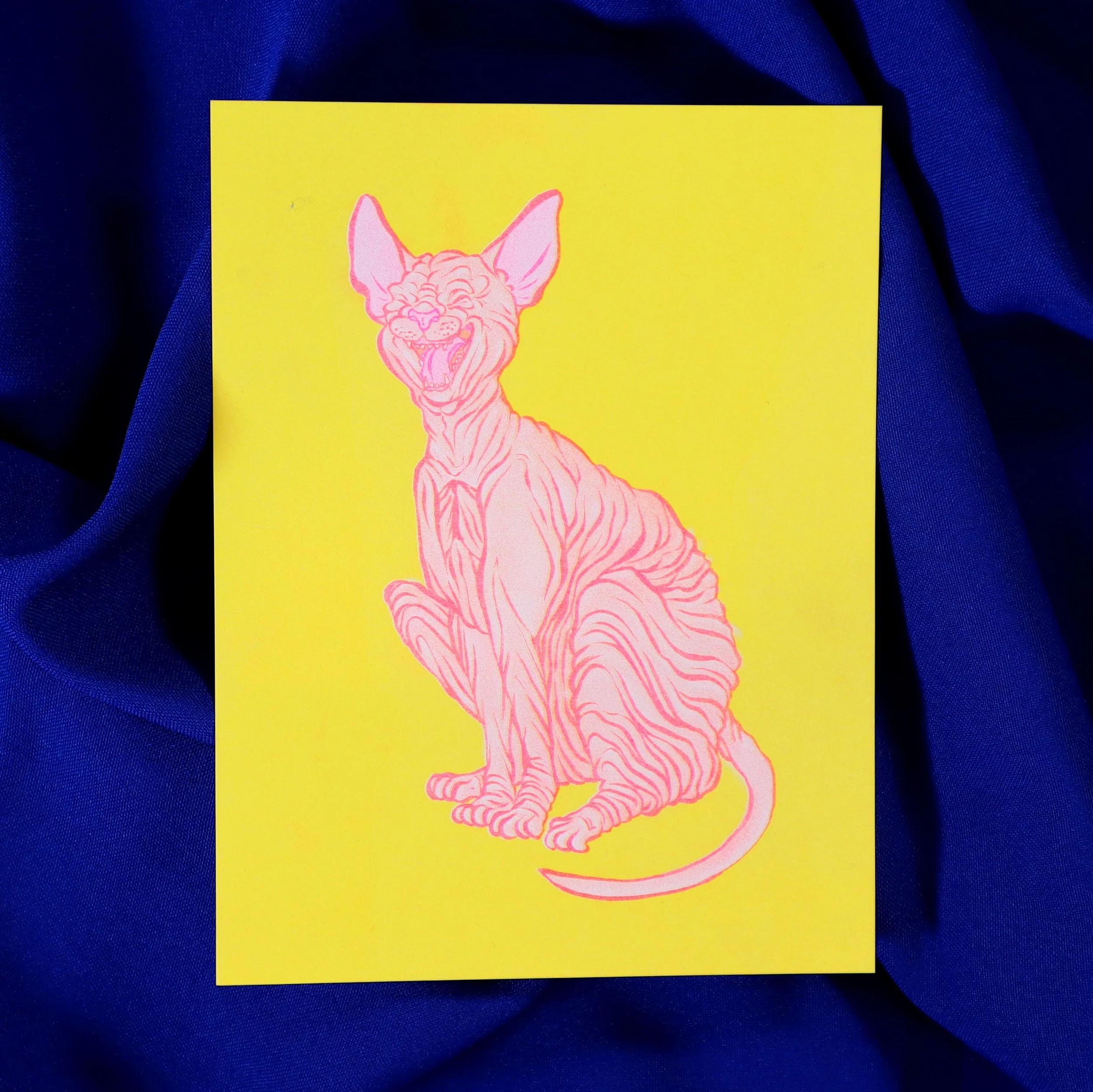 Naked Cat Print