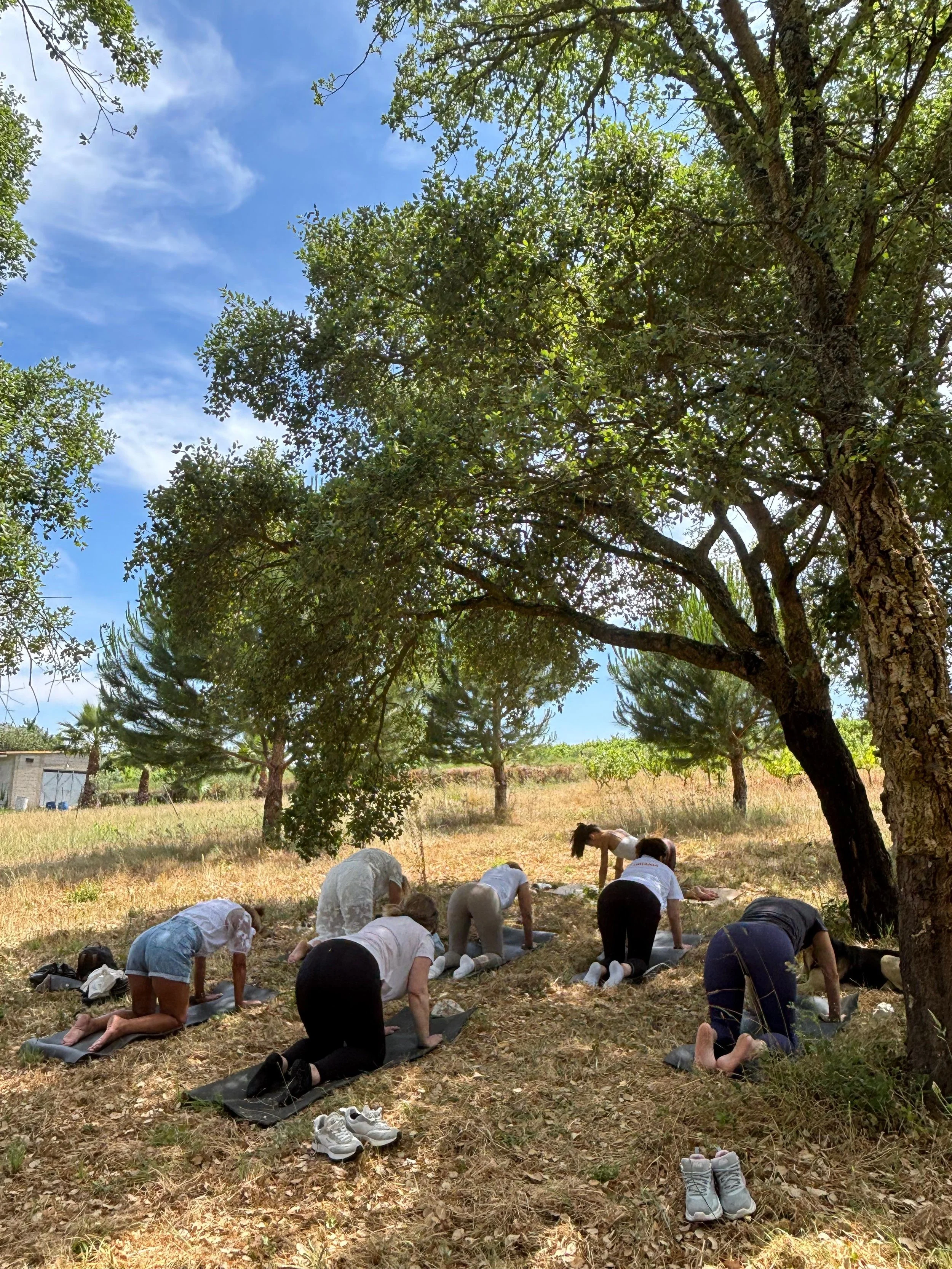 WhatsApp Image 2025-07-29 at 17.38.32.jpeg