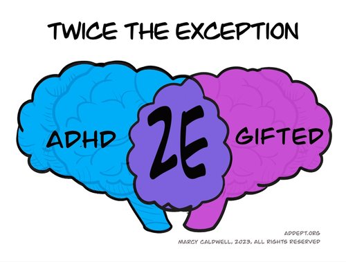 Always Bright and Often Bewildering: Twice Exceptional Adults with ADHD