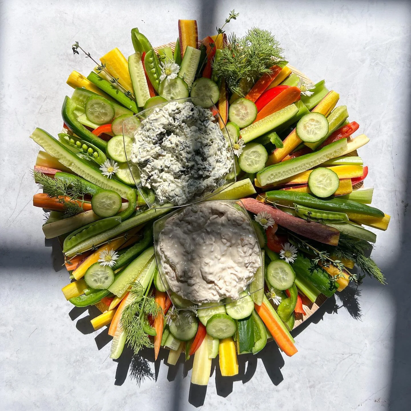 the sun feat. raw vegetables