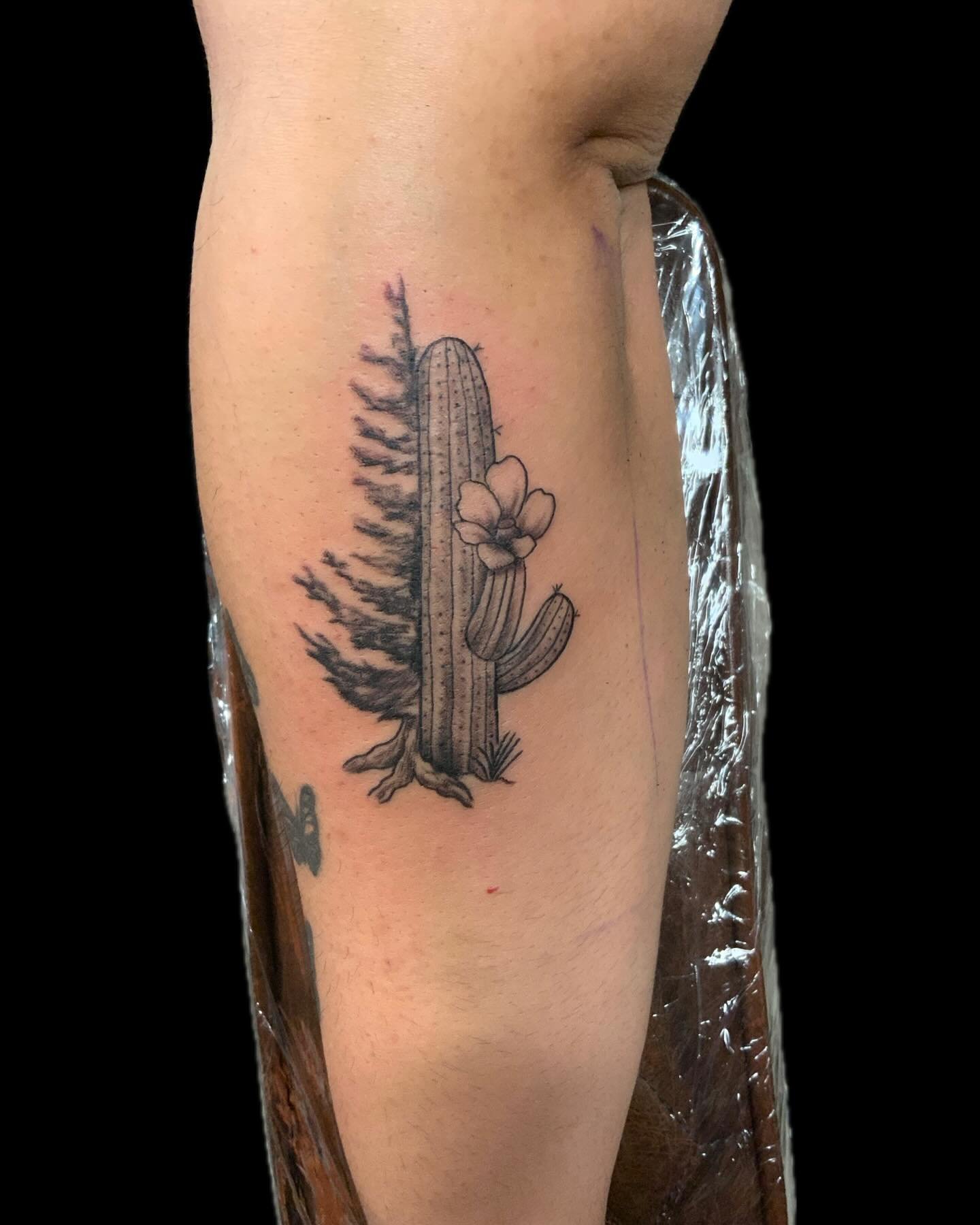 This was a mashup of a cactus split evergreen tree. They moved from Arizona to Washington and wanted to show love to both. Always thanks for looking. #treetattoo #cactus #evergreen #pnw #northend #425 #tattoos #everett #snohomish #lynnwoodhairstylist
