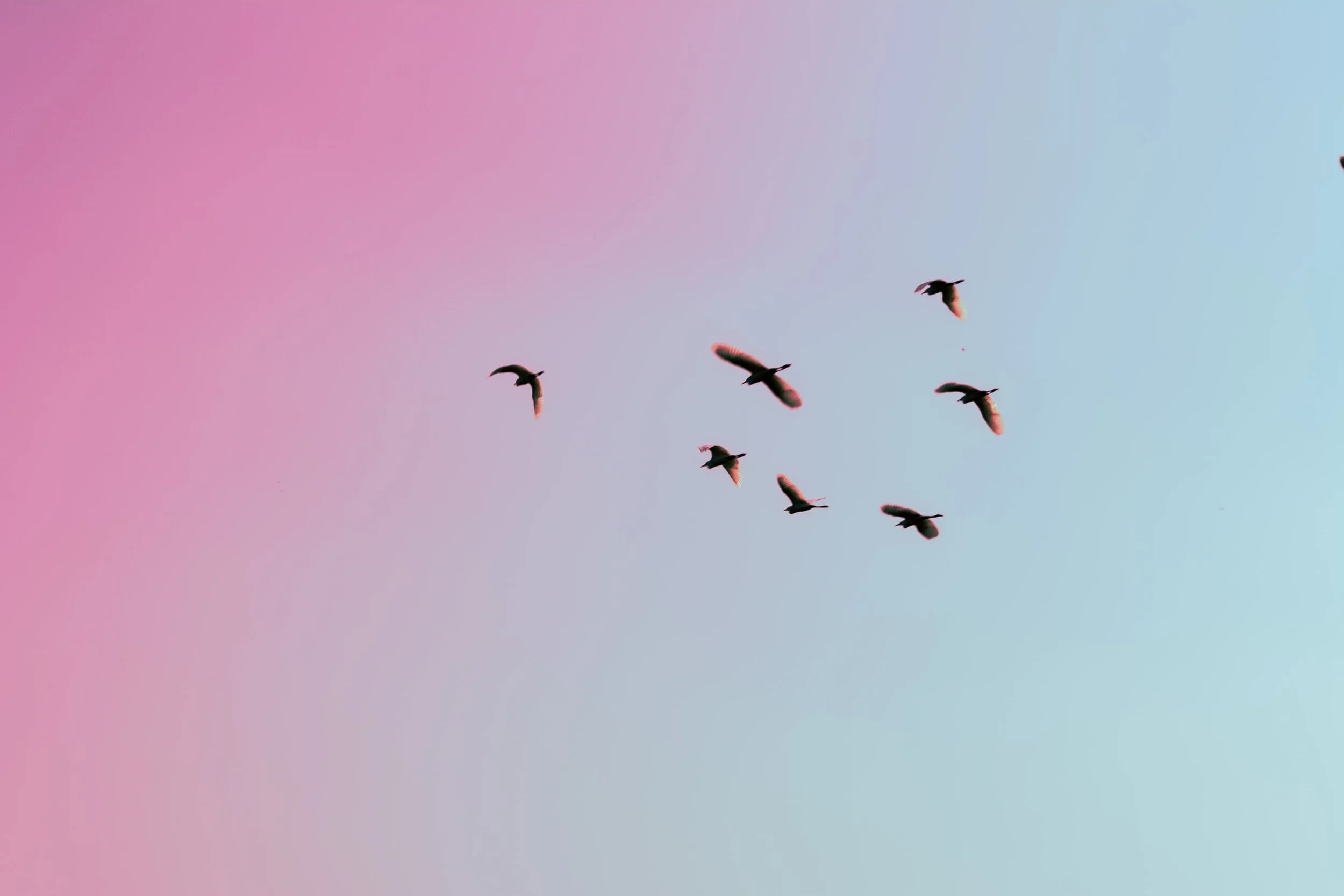 Finding Purpose In Your Pain While Preserving Your Joy