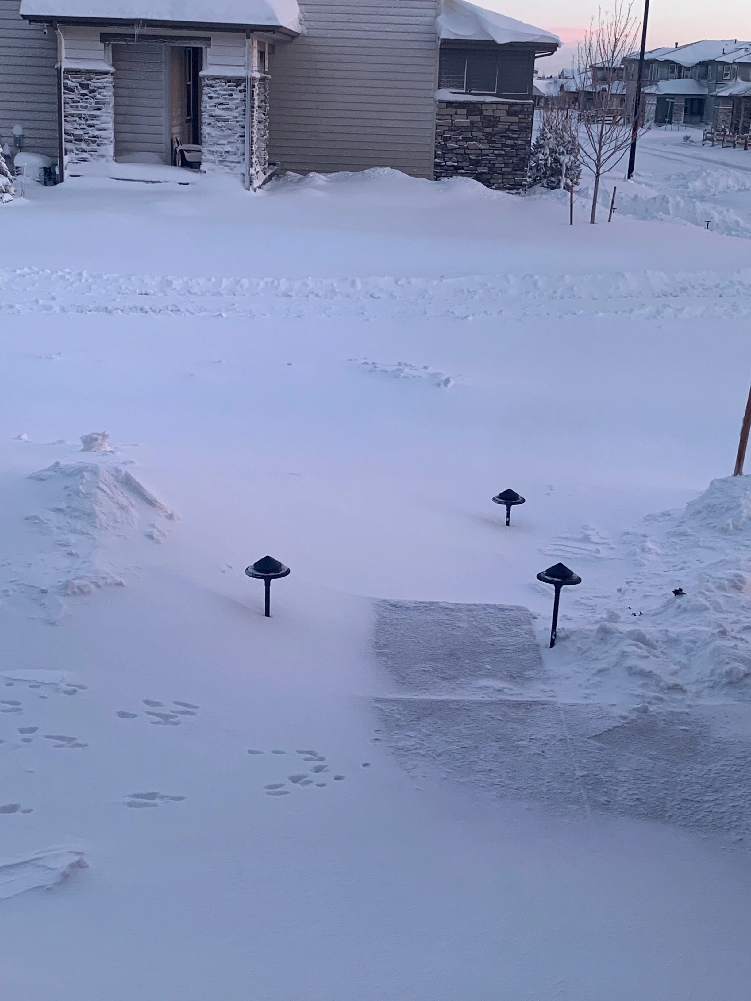  The drifts uncovered small areas while piling it up in others. (Photo Credit: Candice Aragon’s, Director of Marketing) 