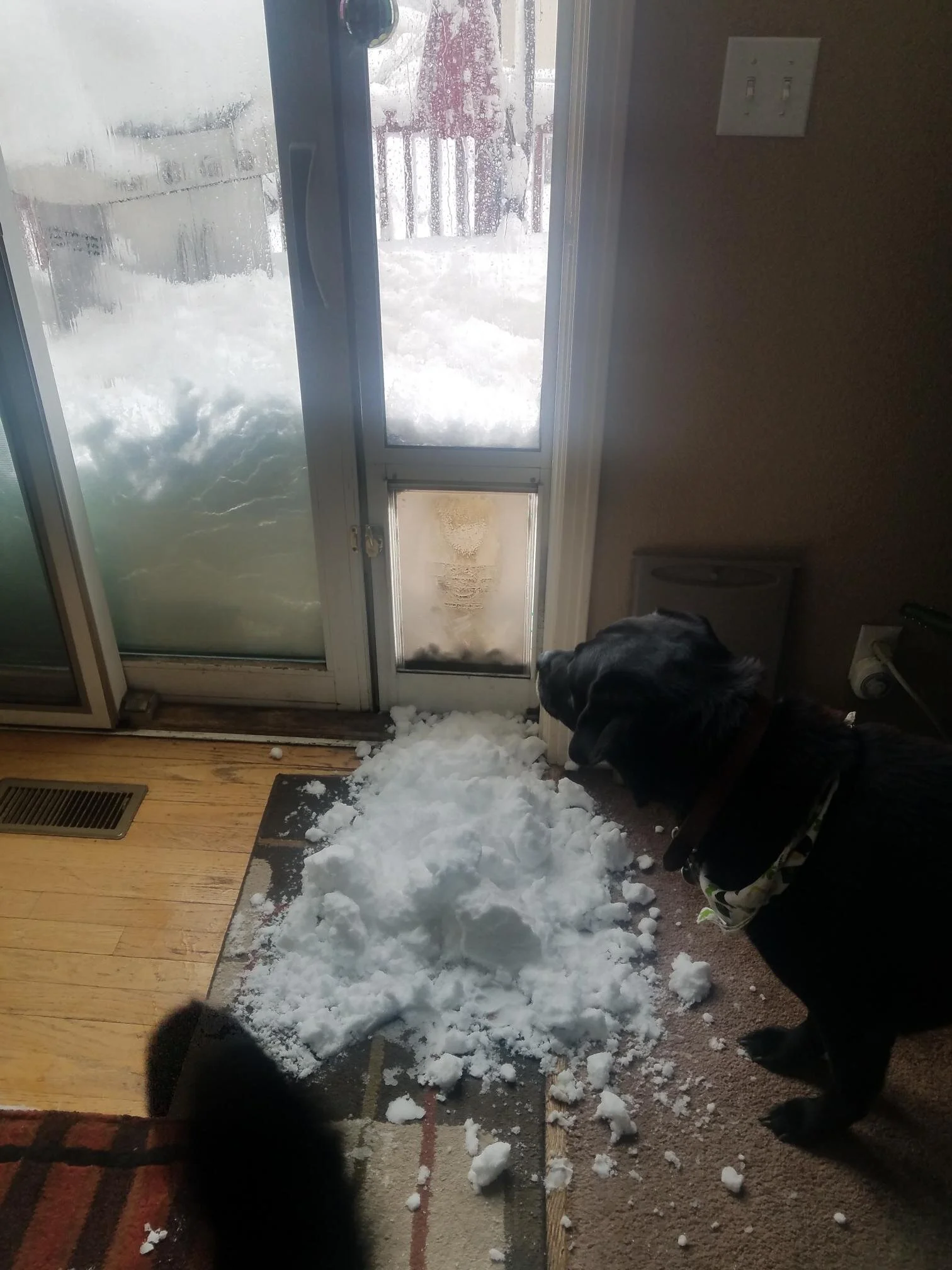  A snowdrift broke through the pet door, into the kitchen. (Photo Credit: Maria Brasel, Executive Assistant) 