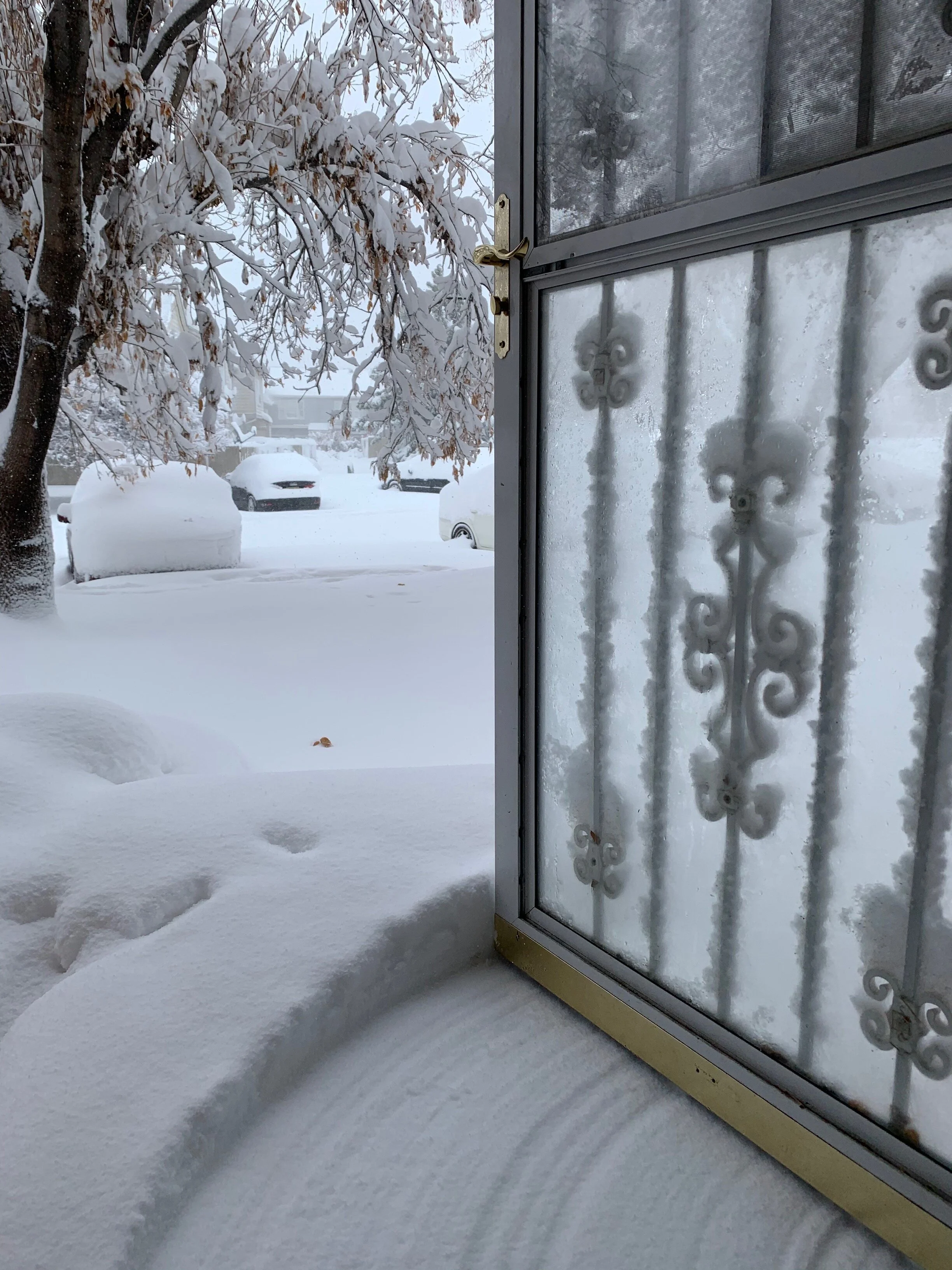  Opening doors needed some muscle strength. (Photo Credit: James Gallagher, Manager of Integrator Services) 