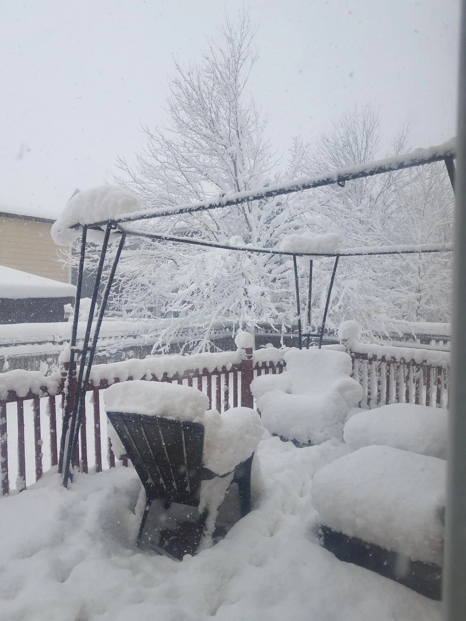  The traditional “Snow our patio furniture” photo. (Photo Credit: Maria Brasel, Executive Assistant) 