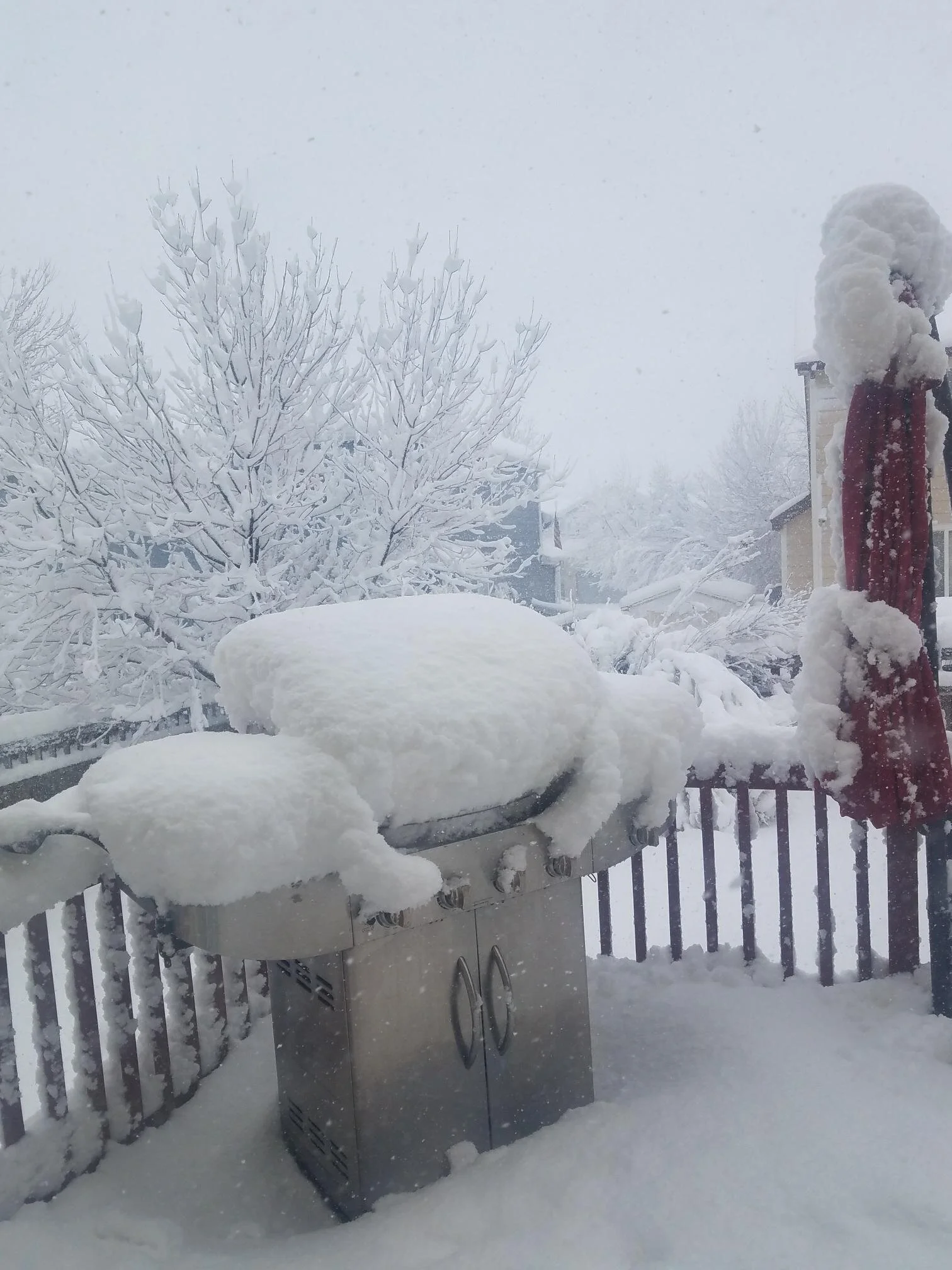  Grilling wasn’t an option this weekend. (Photo Credit: Maria Brasel, Executive Assistant) 