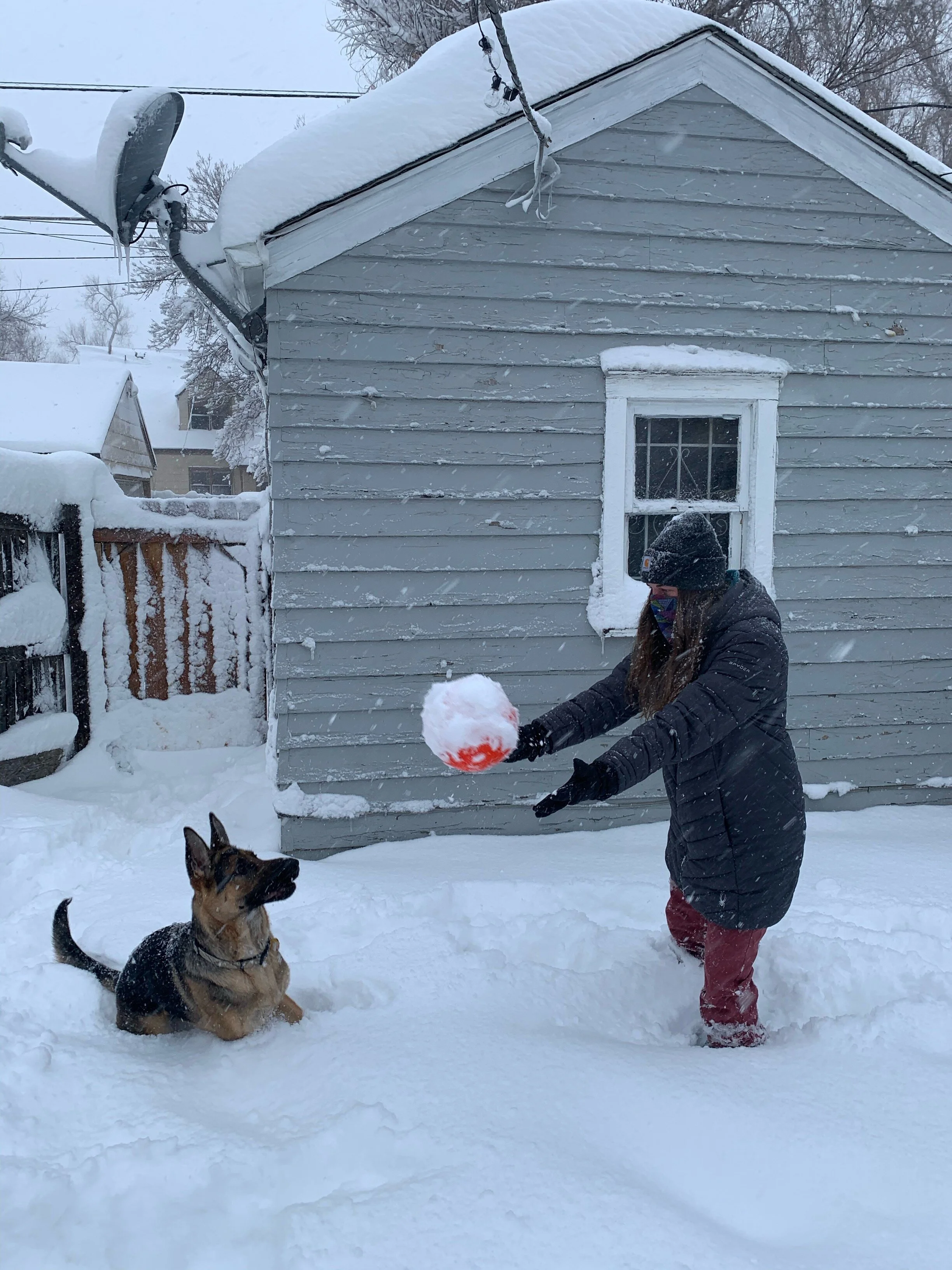  Pets cannot be forgotten about during this storm. Some loved the white fluff snow! (Photo Credit: Michaela Austin, Marketing Coordinator) 
