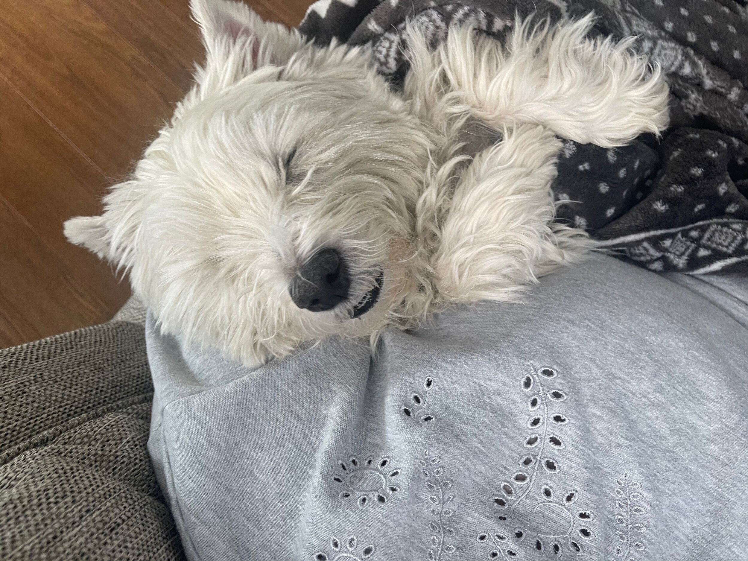  Staying warm and cozy inside. (Photo Credit: Nancy Hoffman, Manager - Credit) 