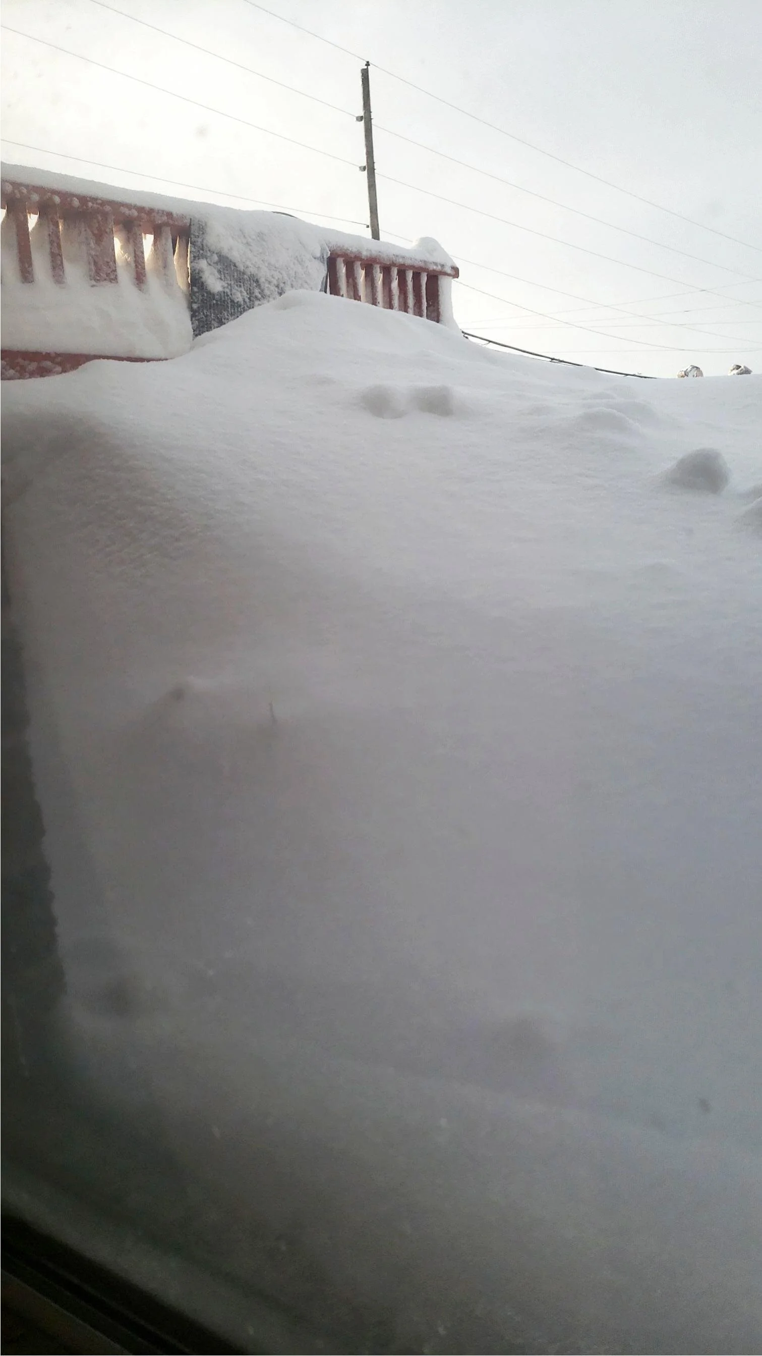  Basement Window Views. (Photo Credit: Eleanor Bustos, Sales Support) 