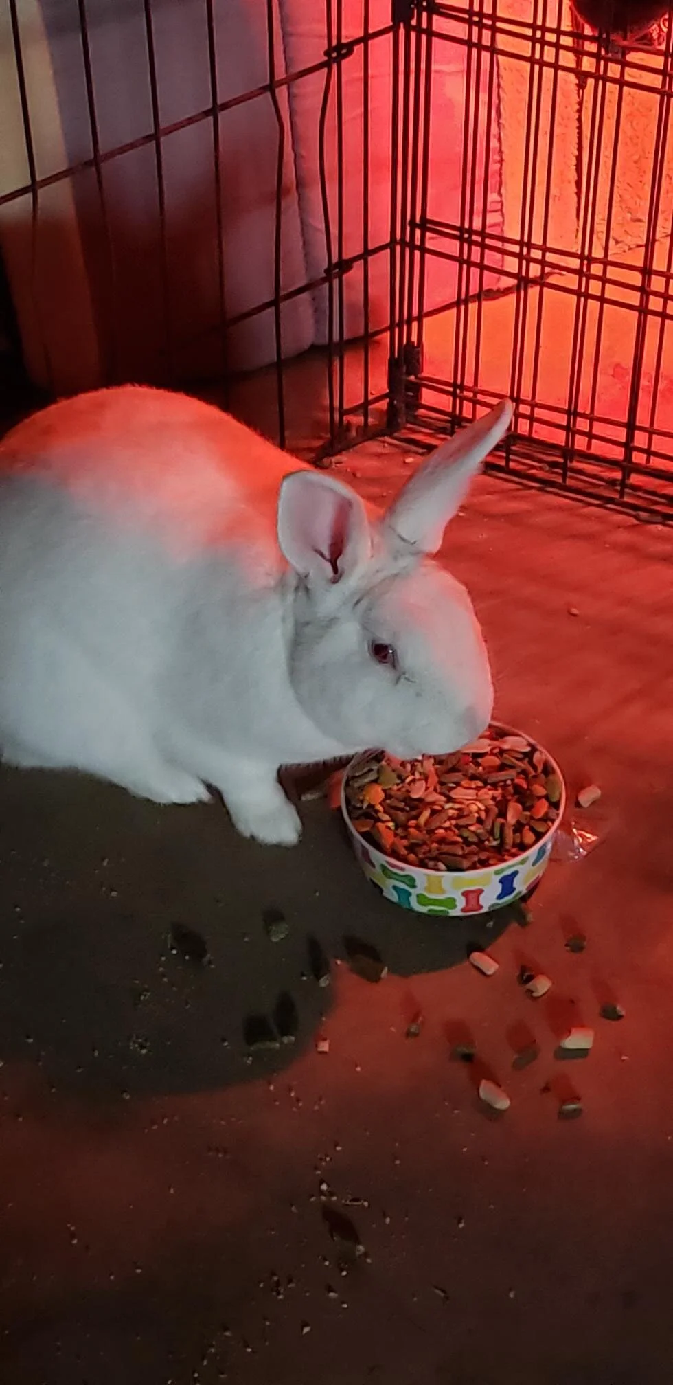  “I think I’ll stay right here!” (Photo Credit: Eleanor Bustos, Sales Support) 