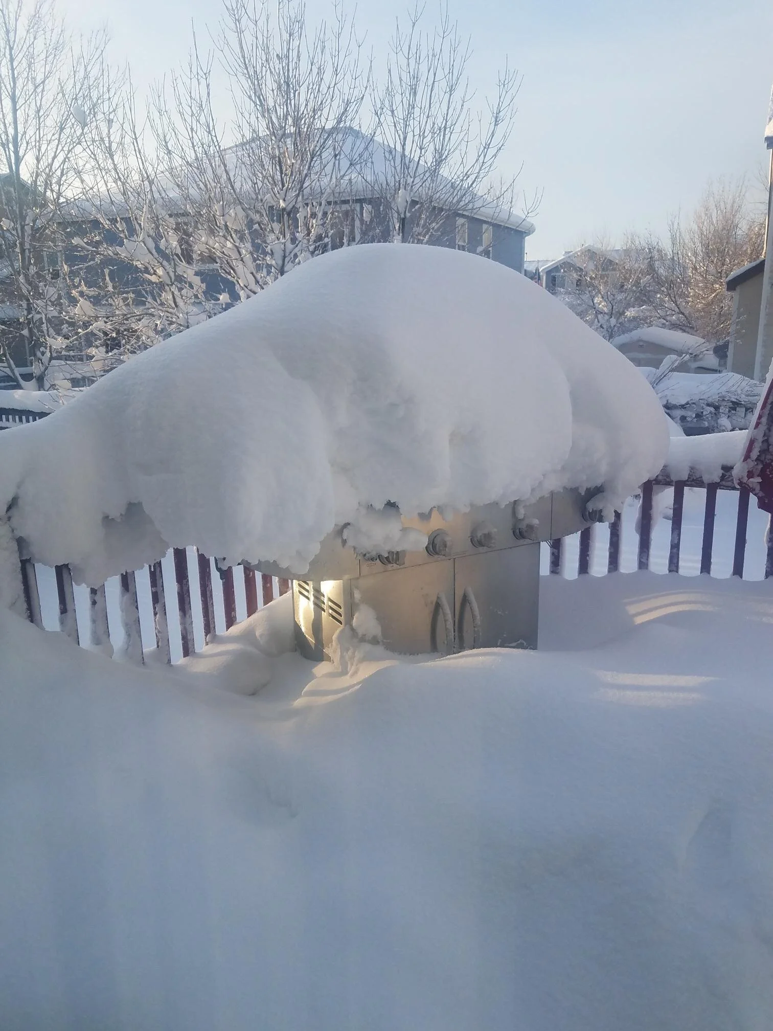 Still not ideal grilling weather. (Photo Credit: Maria Brasel, Executive Assistant) 