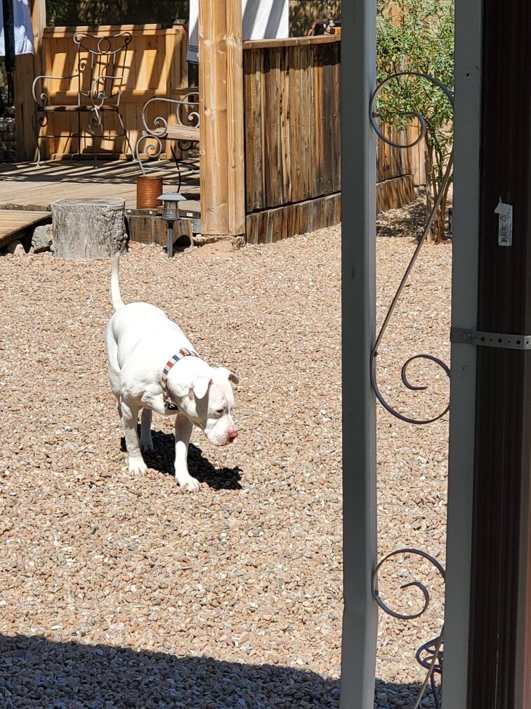  Sunny in Arizona! (Photo Credit: Kelly Redrow, Pricing Coordinator) 