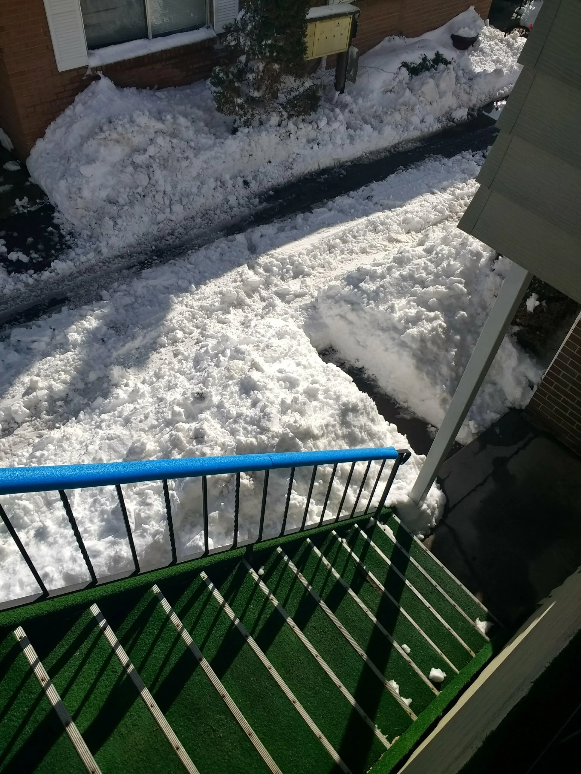  Sometimes, you only clear what you need to! (Photo Credit: Christy Martin, Accounts Payable) 