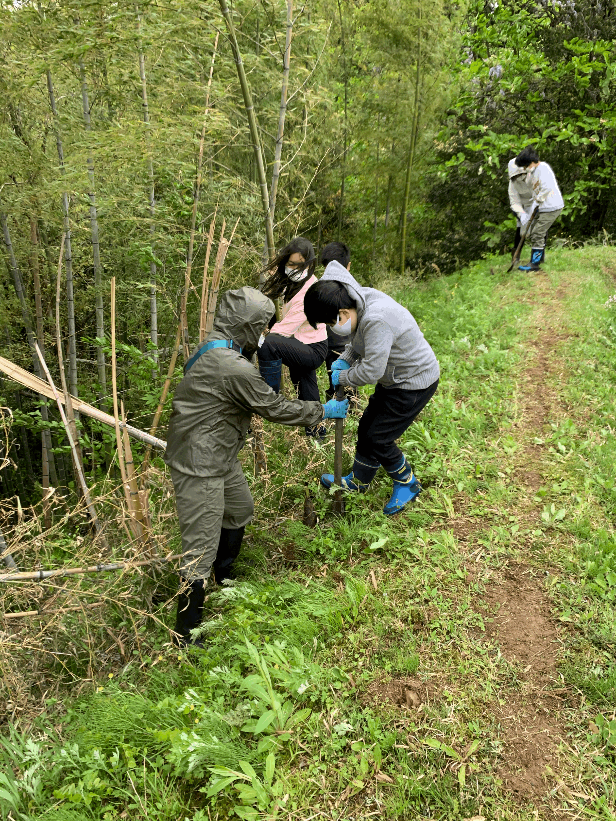 たけのこ掘り開始!