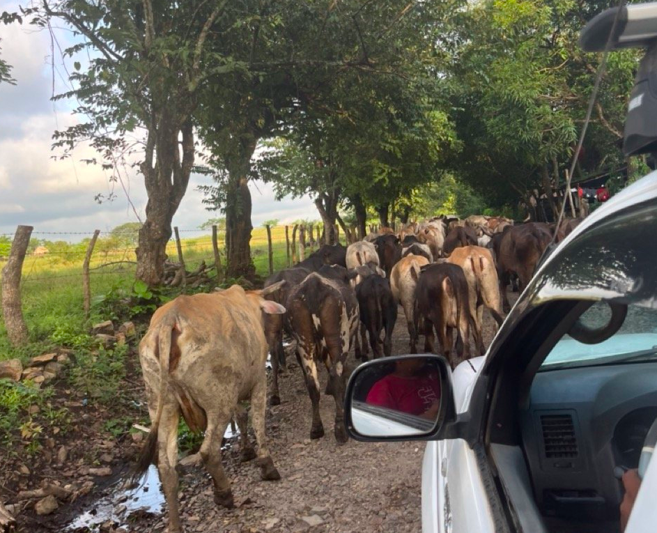 Northern Nicaragua: A Hidden Gem For Yoga Retreats