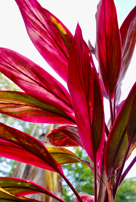 Buying Land and Building in Nicaragua