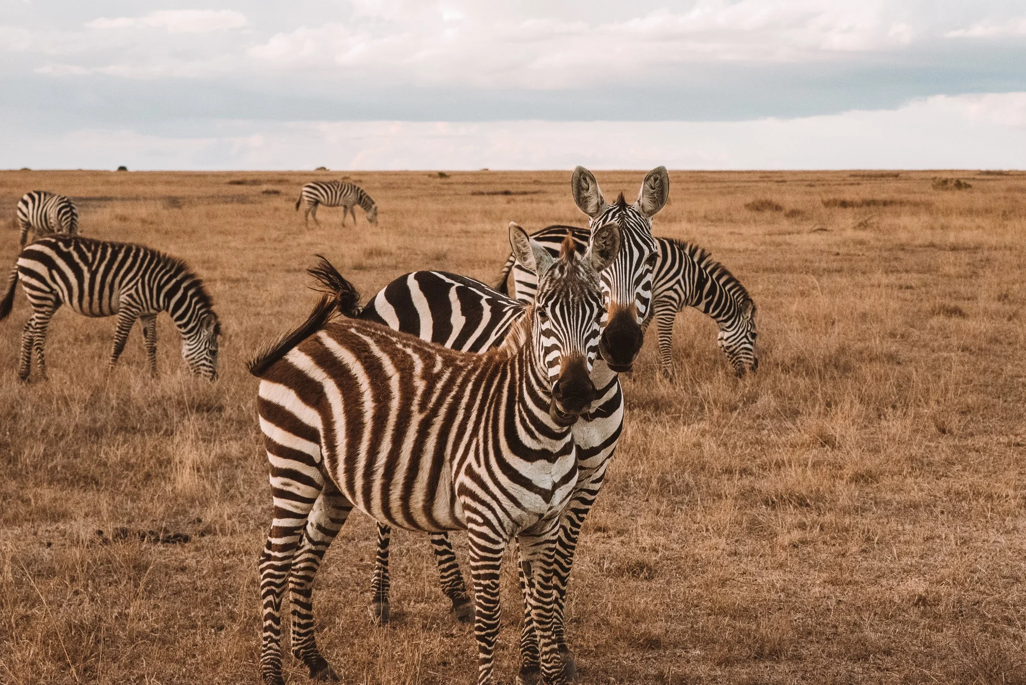 Travel is my Greatest Teacher….Here’s Why