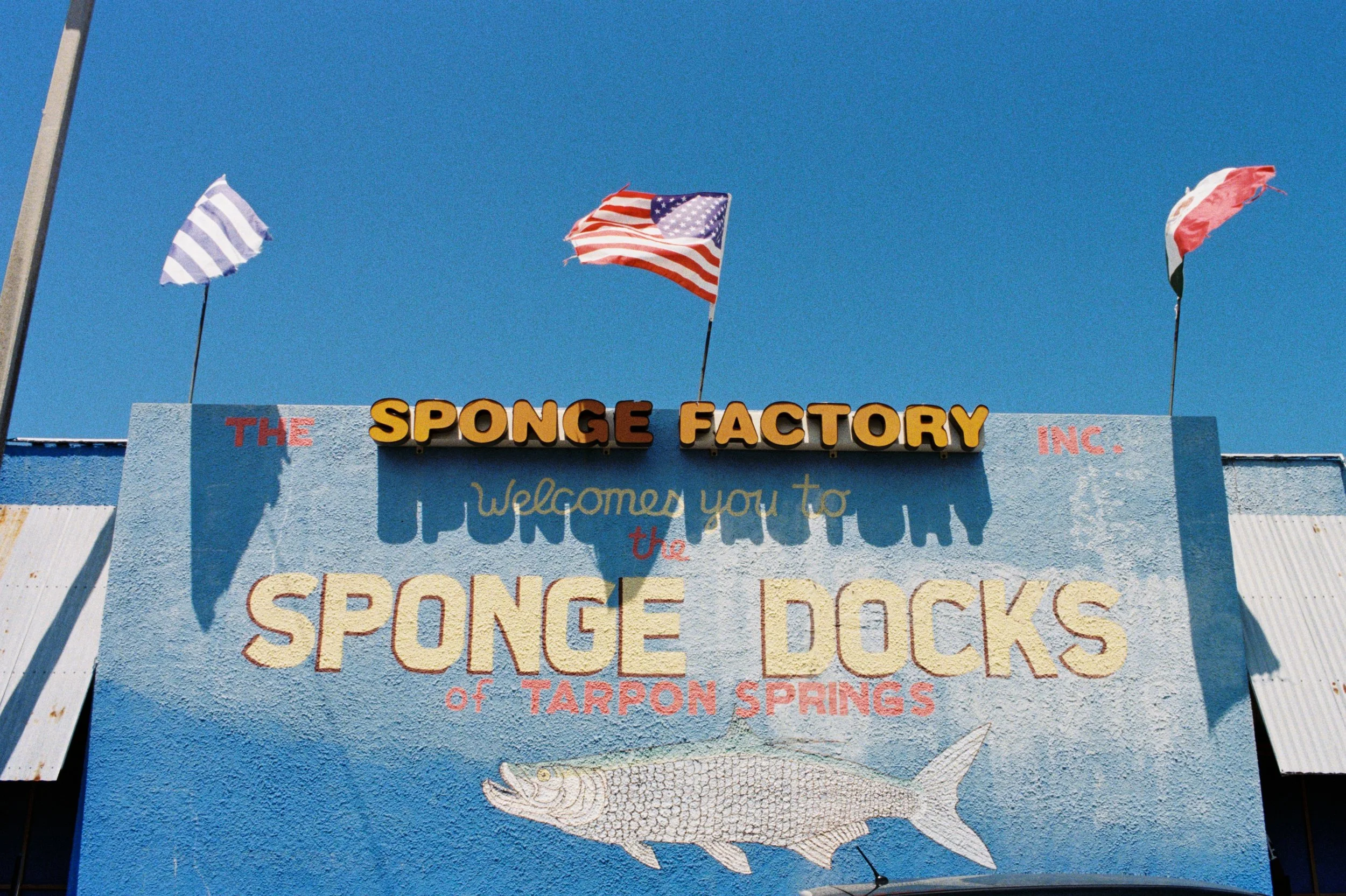 SS-B25345-30669-25.JPG