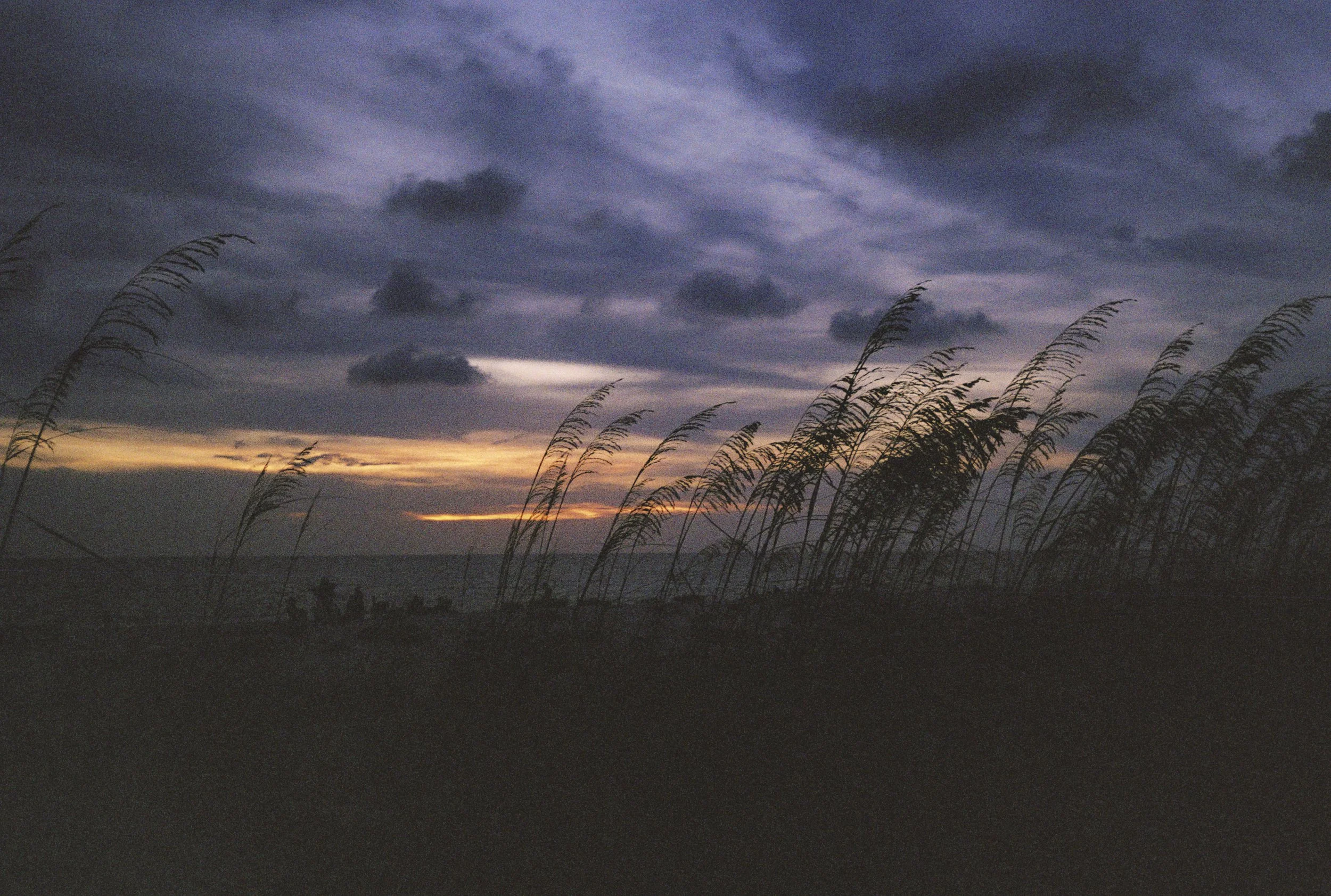 000056-2.jpg
