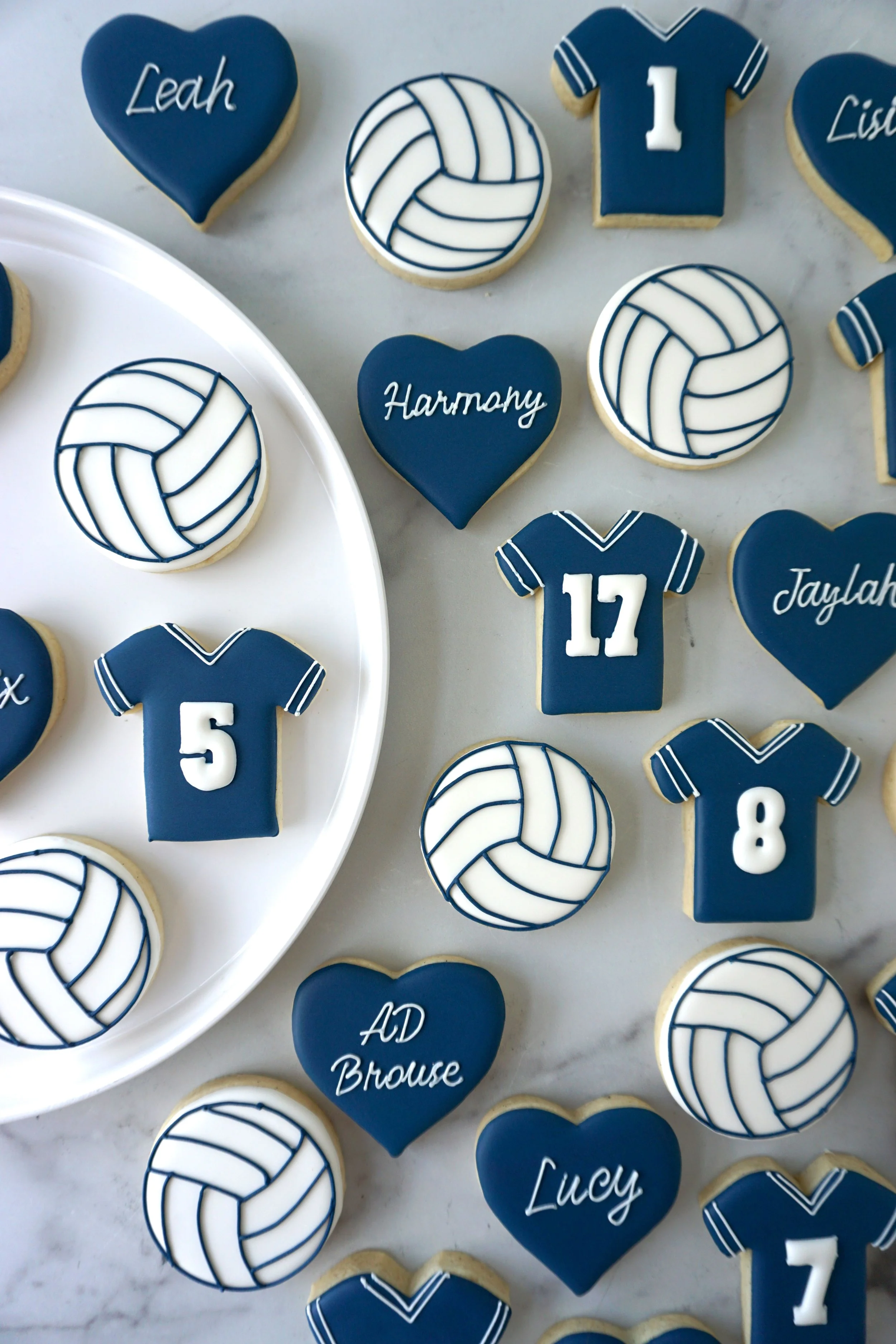 Erin Volleyball_1_1.jpg