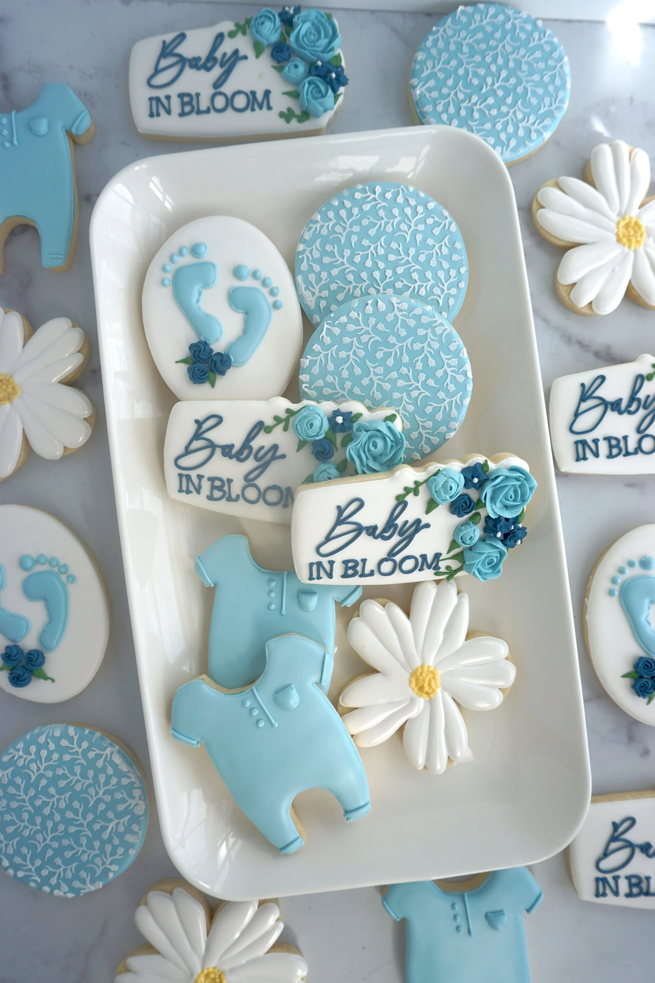 Baby in Bloom Update_2.jpg